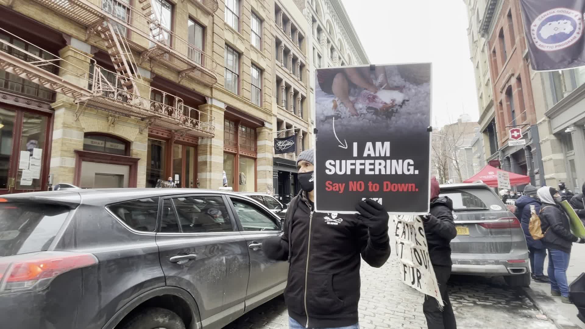 Canada Goose animal rights protest in New York City