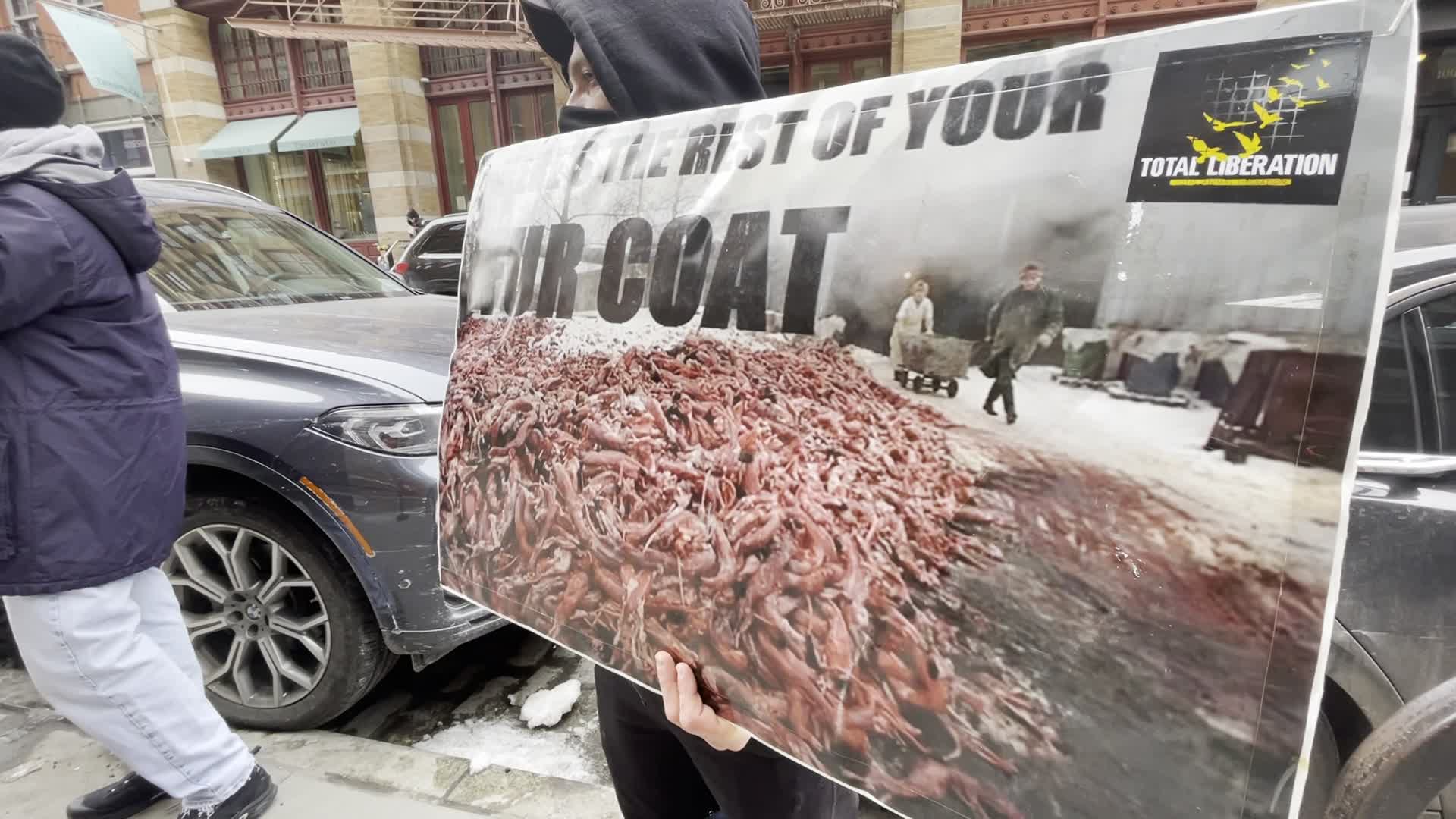 Canada Goose animal rights protest in New York City