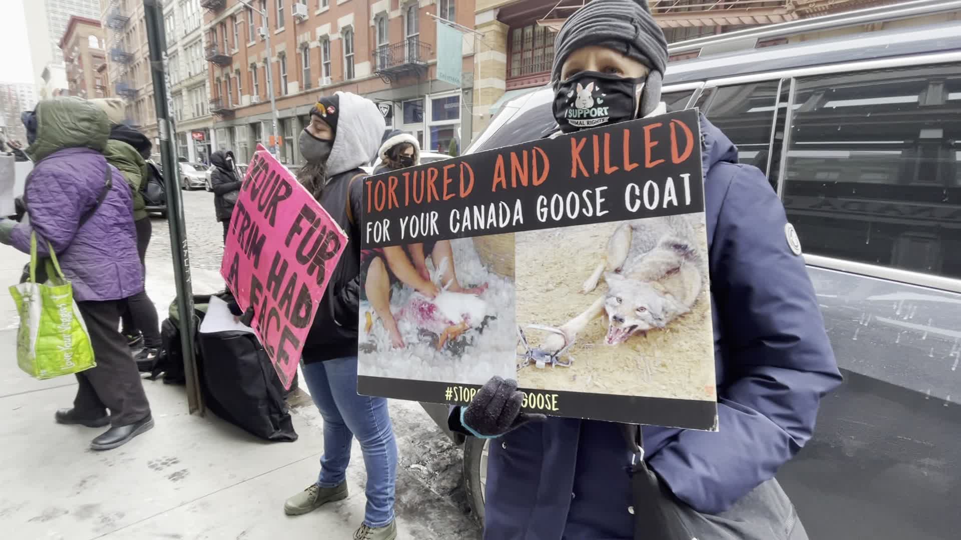 Canada Goose animal rights protest in New York City