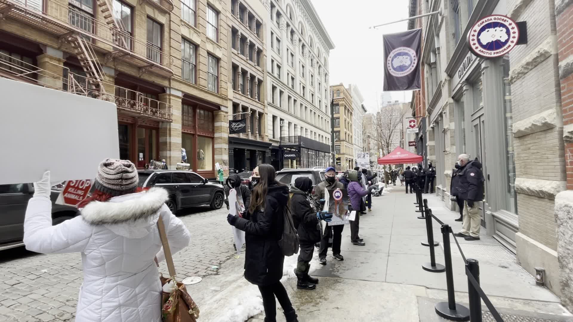 Canada Goose animal rights protest in New York City