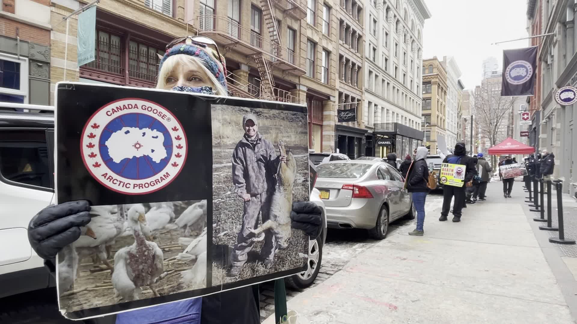 Canada Goose animal rights protest in New York City