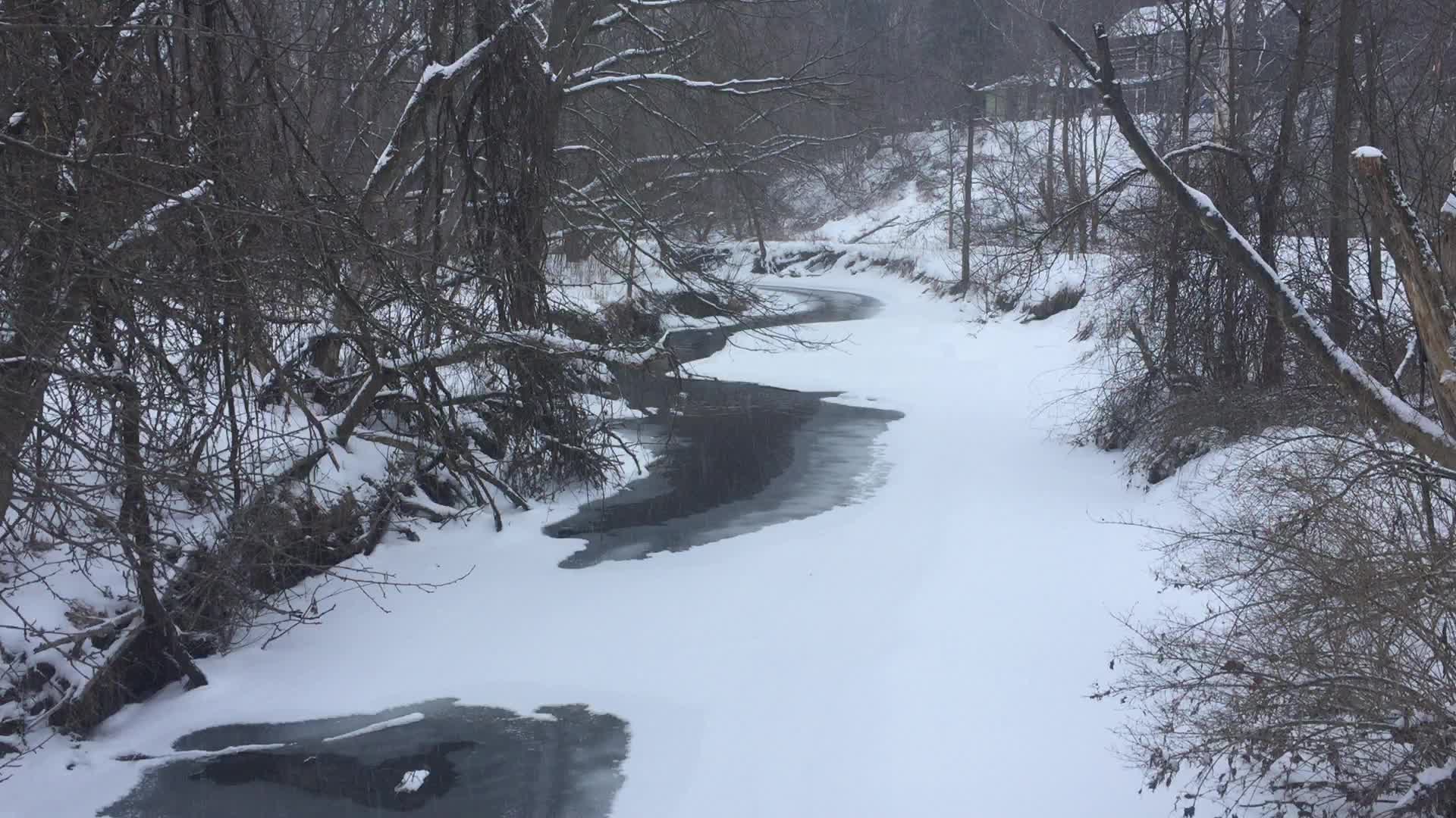 Toronto Gets Hit By Winter Snowstorm
