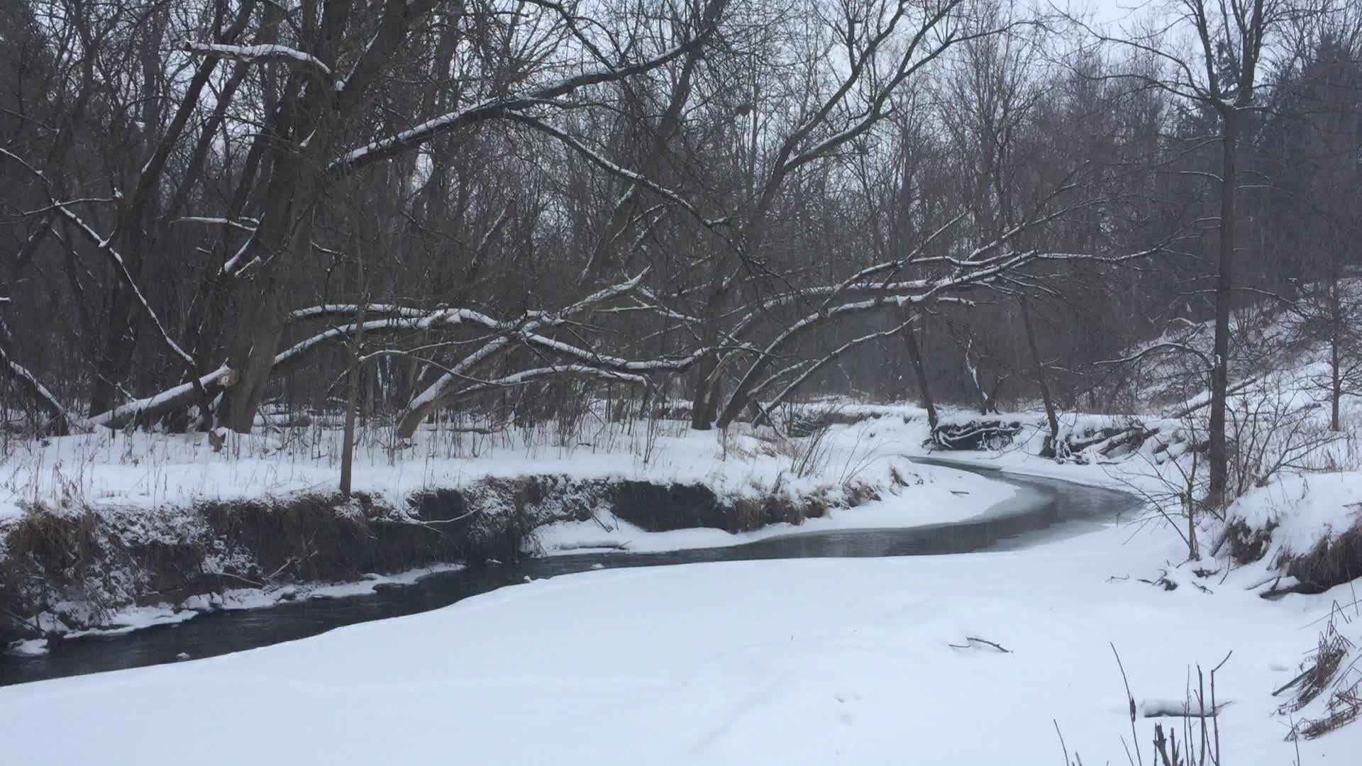 Toronto Gets Hit By Winter Snowstorm