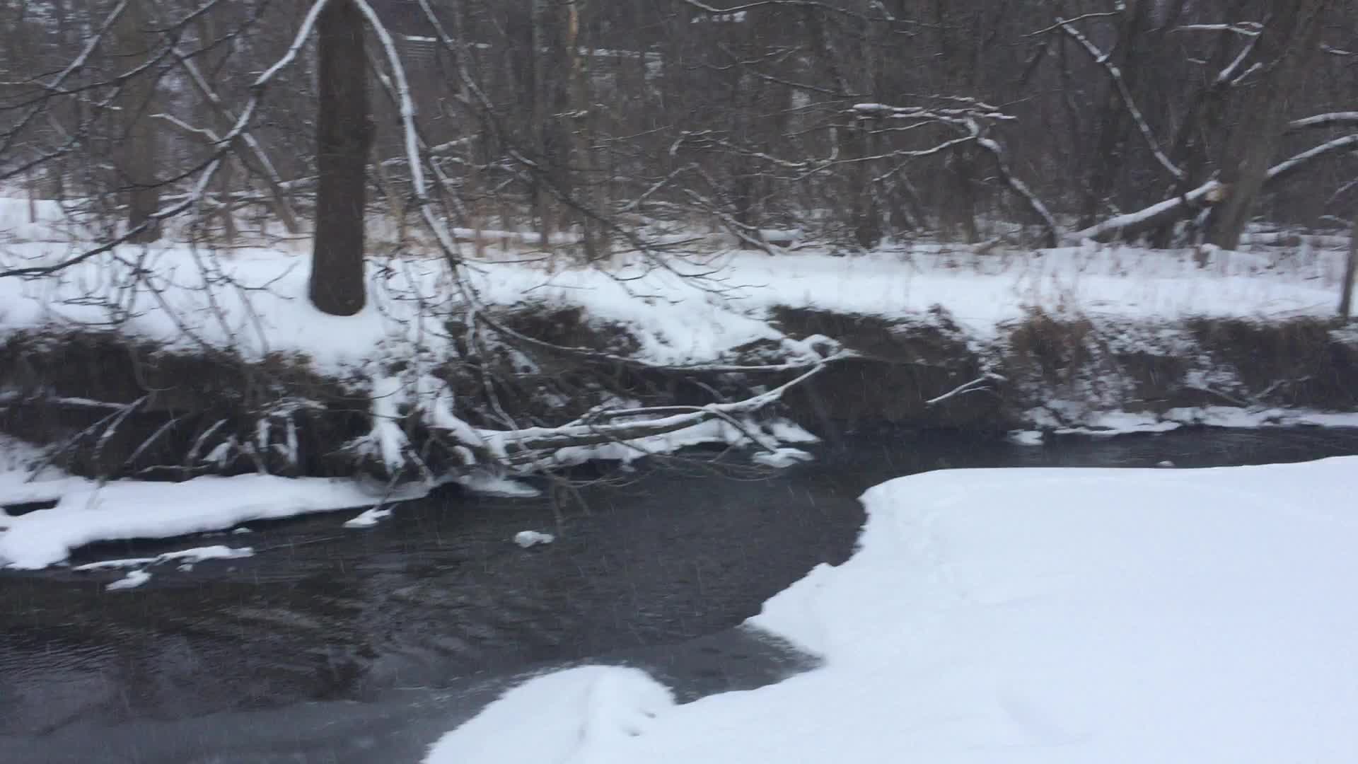 Toronto Gets Hit By Winter Snowstorm
