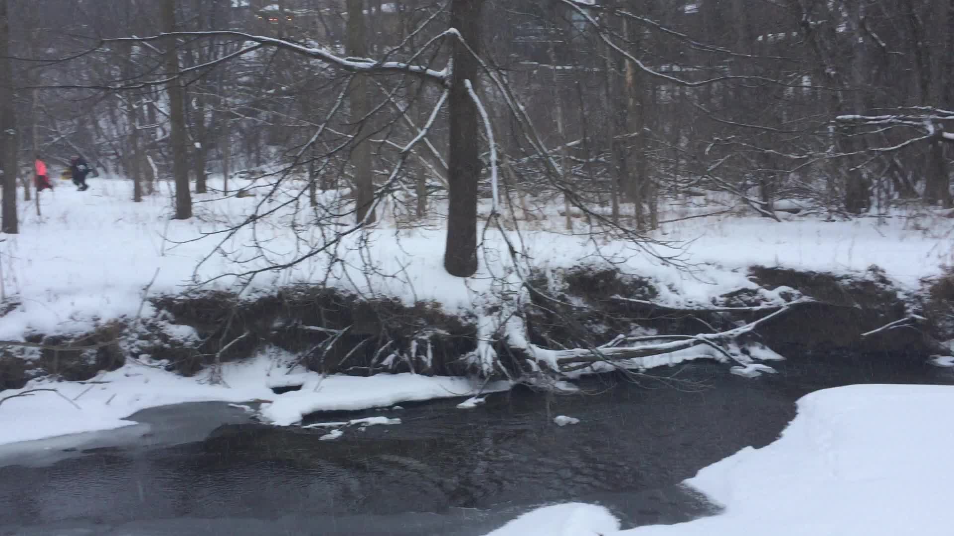 Toronto Gets Hit By Winter Snowstorm