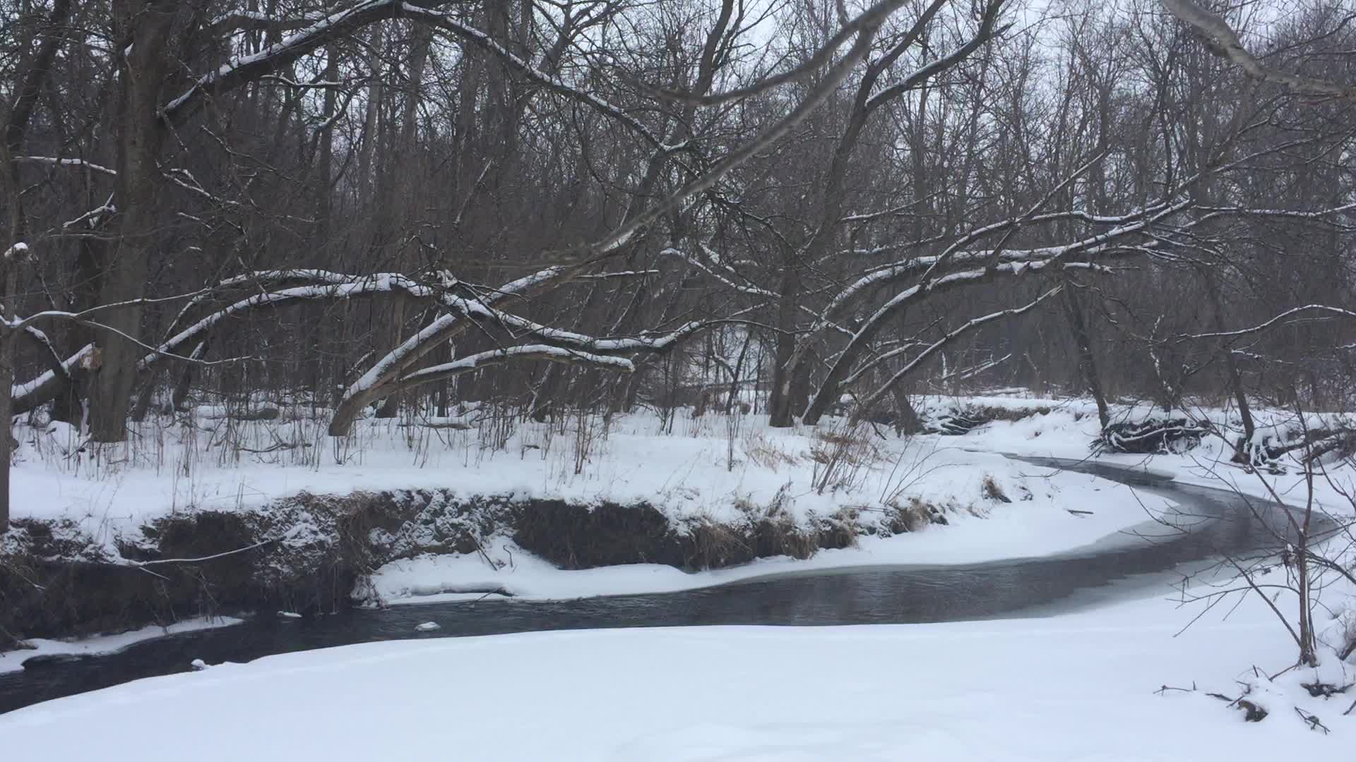 Toronto Gets Hit By Winter Snowstorm
