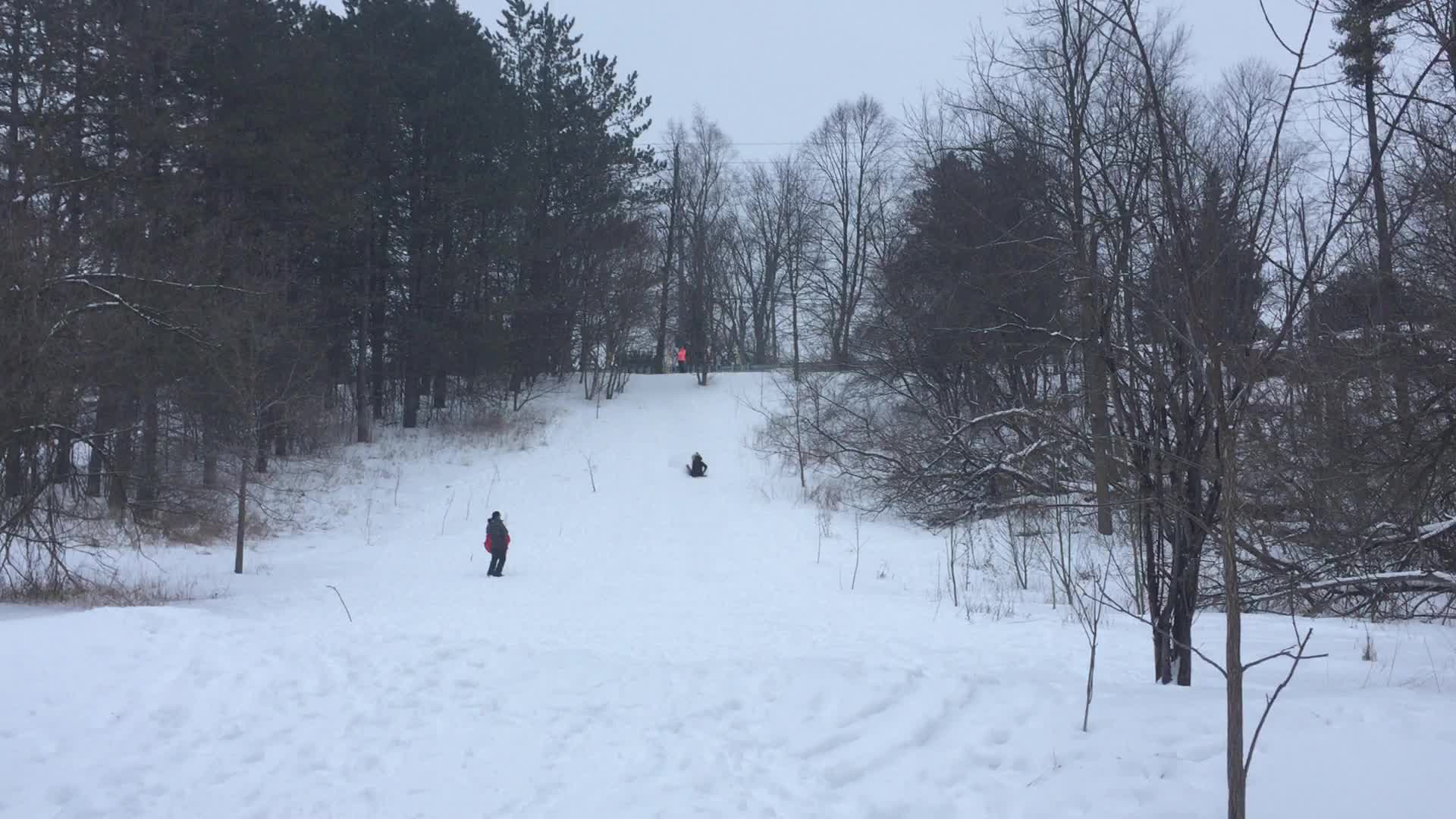Toronto Gets Hit By Winter Snowstorm