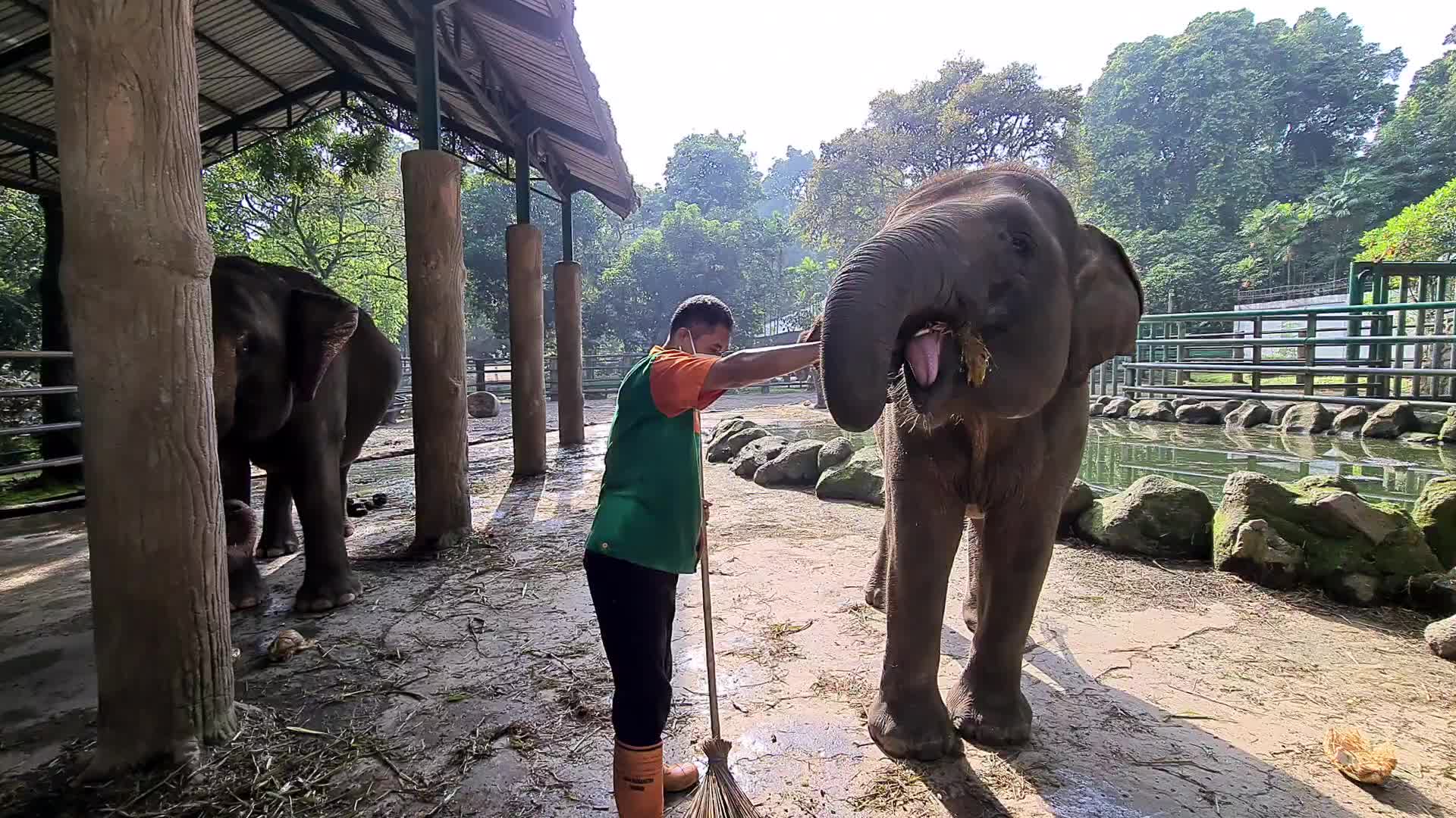 Zoo Ragunan in Jakarta, Indonesia amid the Covid-19 pandemic