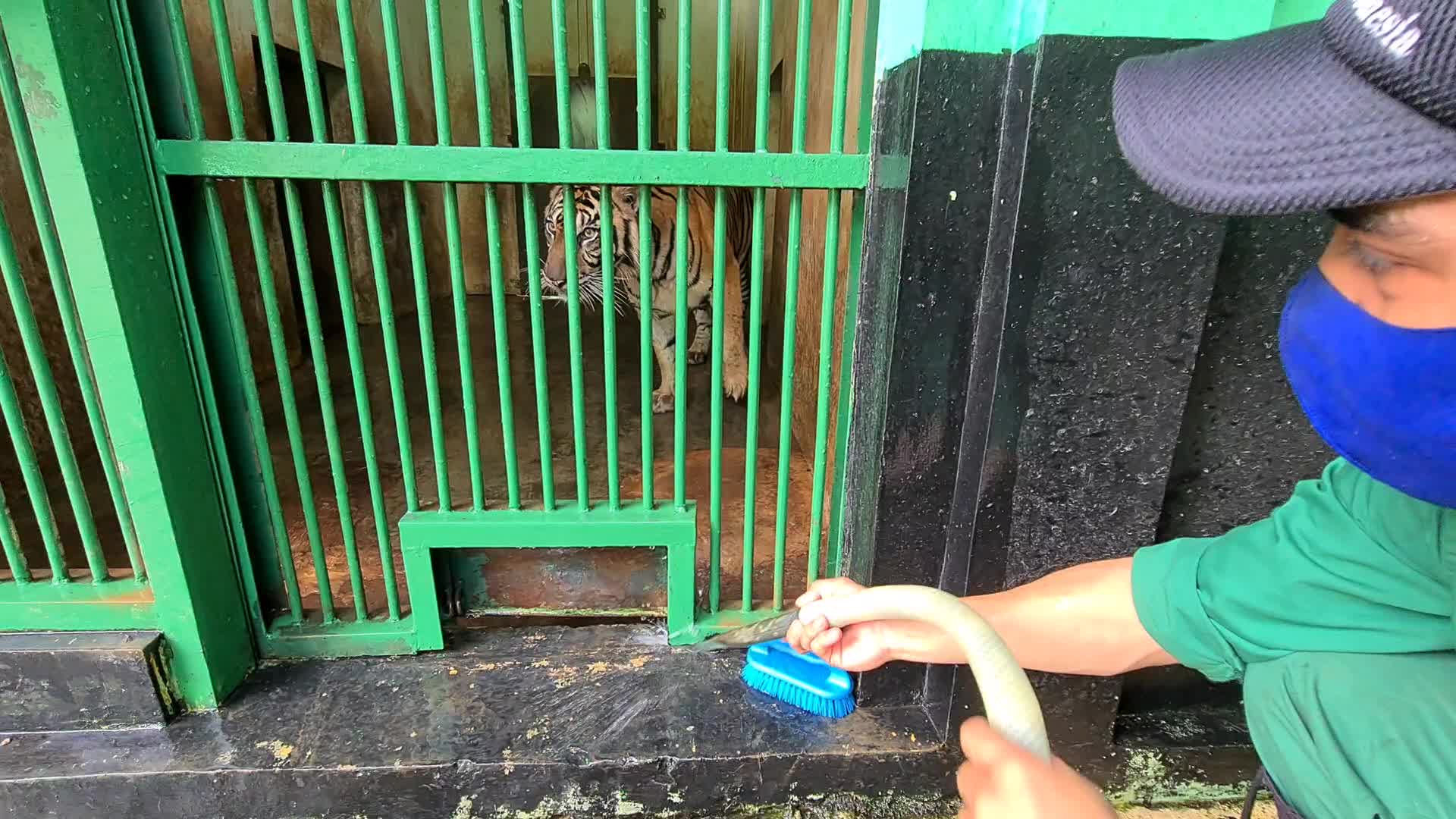 Zoo Ragunan in Jakarta, Indonesia amid the Covid-19 pandemic