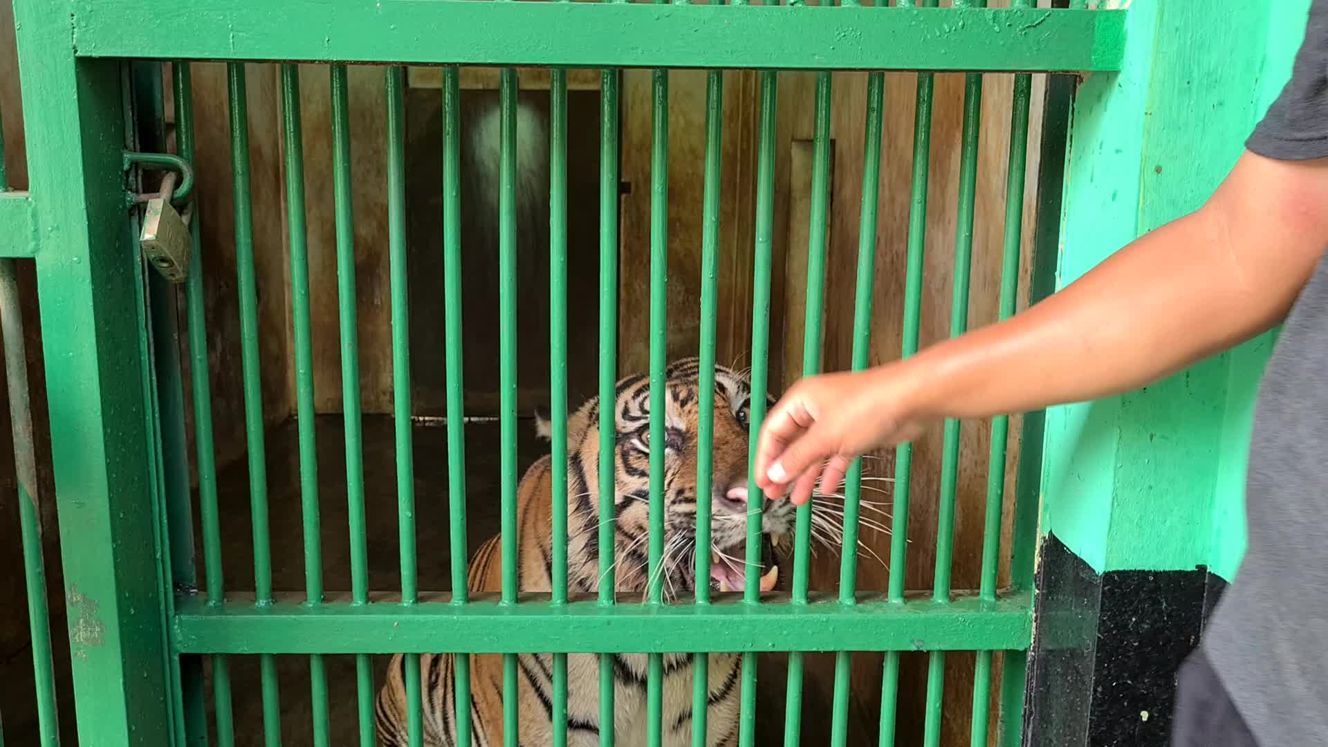 Zoo Ragunan in Jakarta, Indonesia amid the Covid-19 pandemic