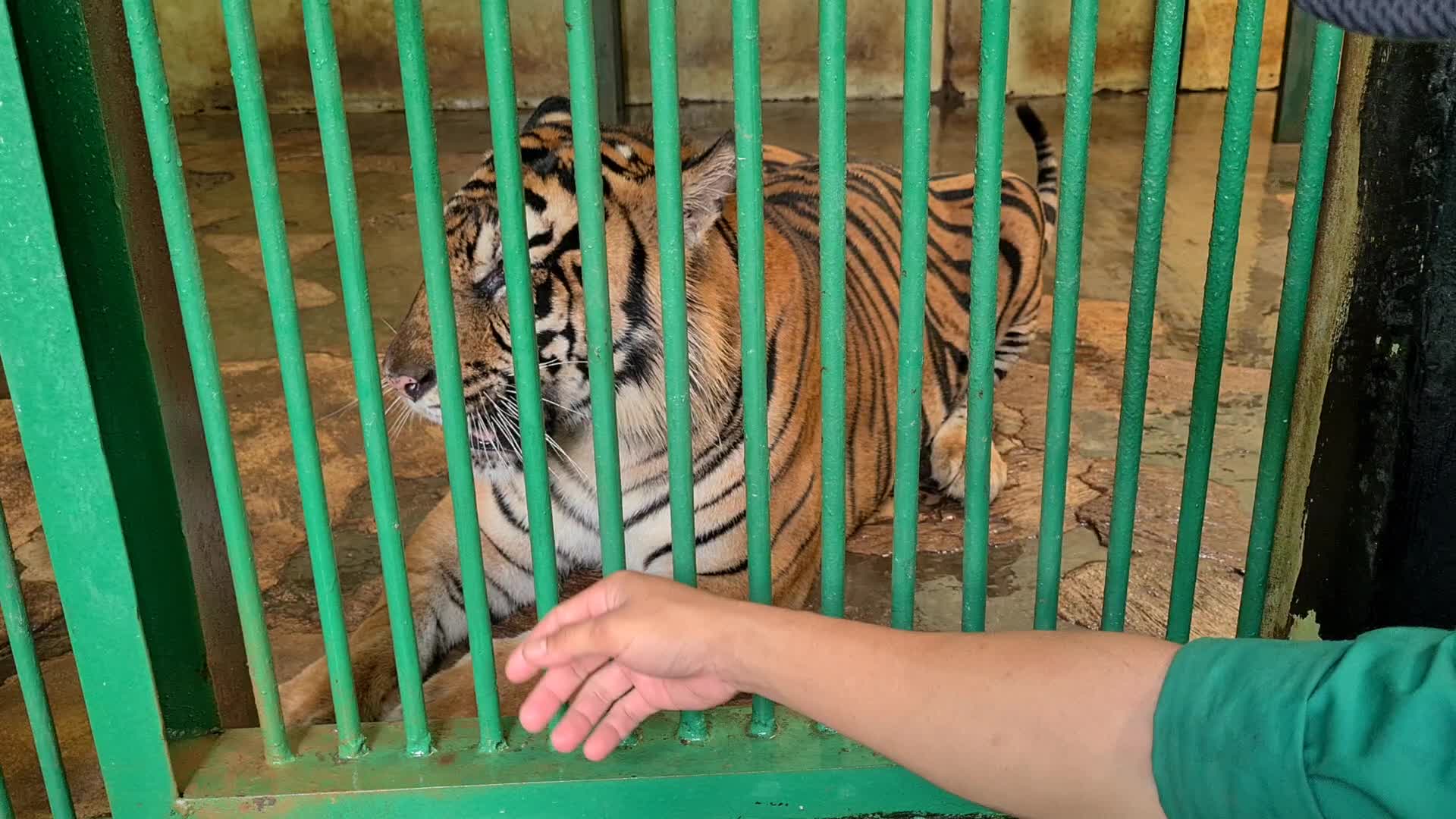 Zoo Ragunan in Jakarta, Indonesia amid the Covid-19 pandemic