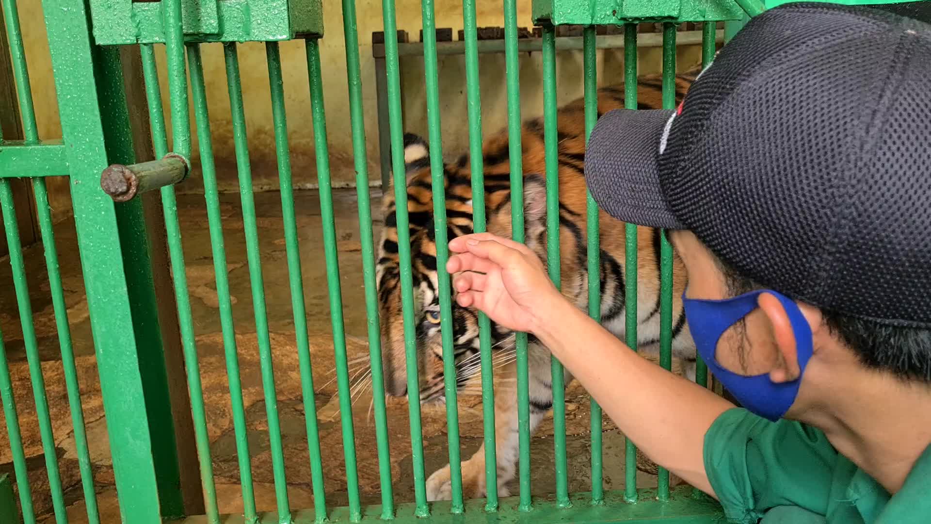 Zoo Ragunan in Jakarta, Indonesia amid the Covid-19 pandemic