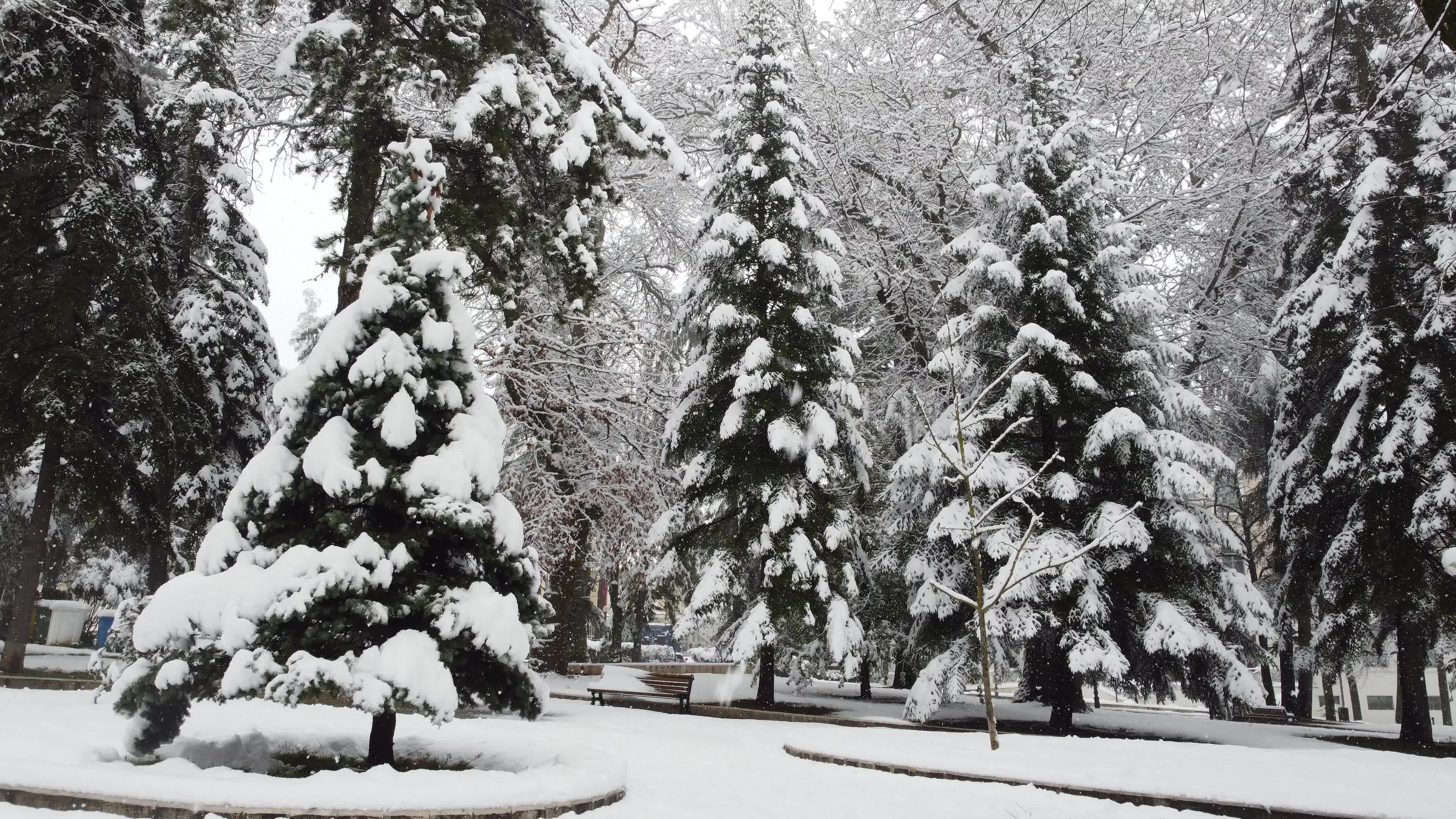 Heavy snowfall in L'Aquila