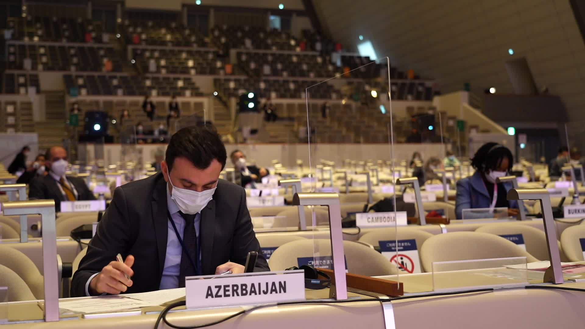 14th United Nations Congress on Crime Prevention and Criminal Justice