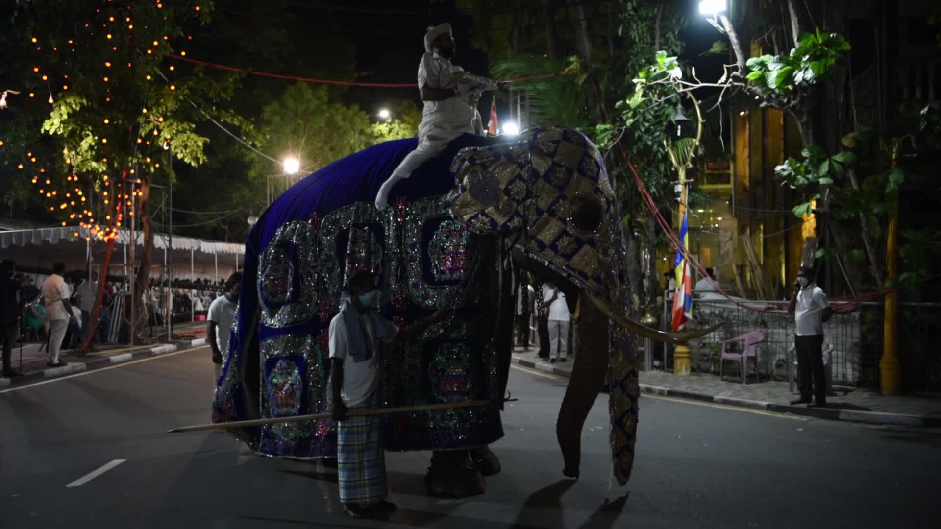 Nawam Perahera festival in Colombo