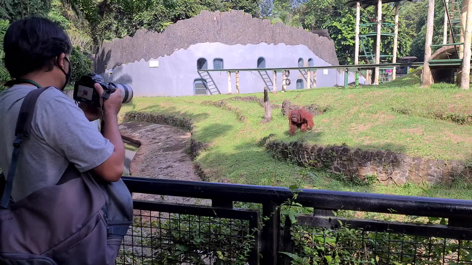 Ragunan Zoo Jakarta Reopen In Indonesia
