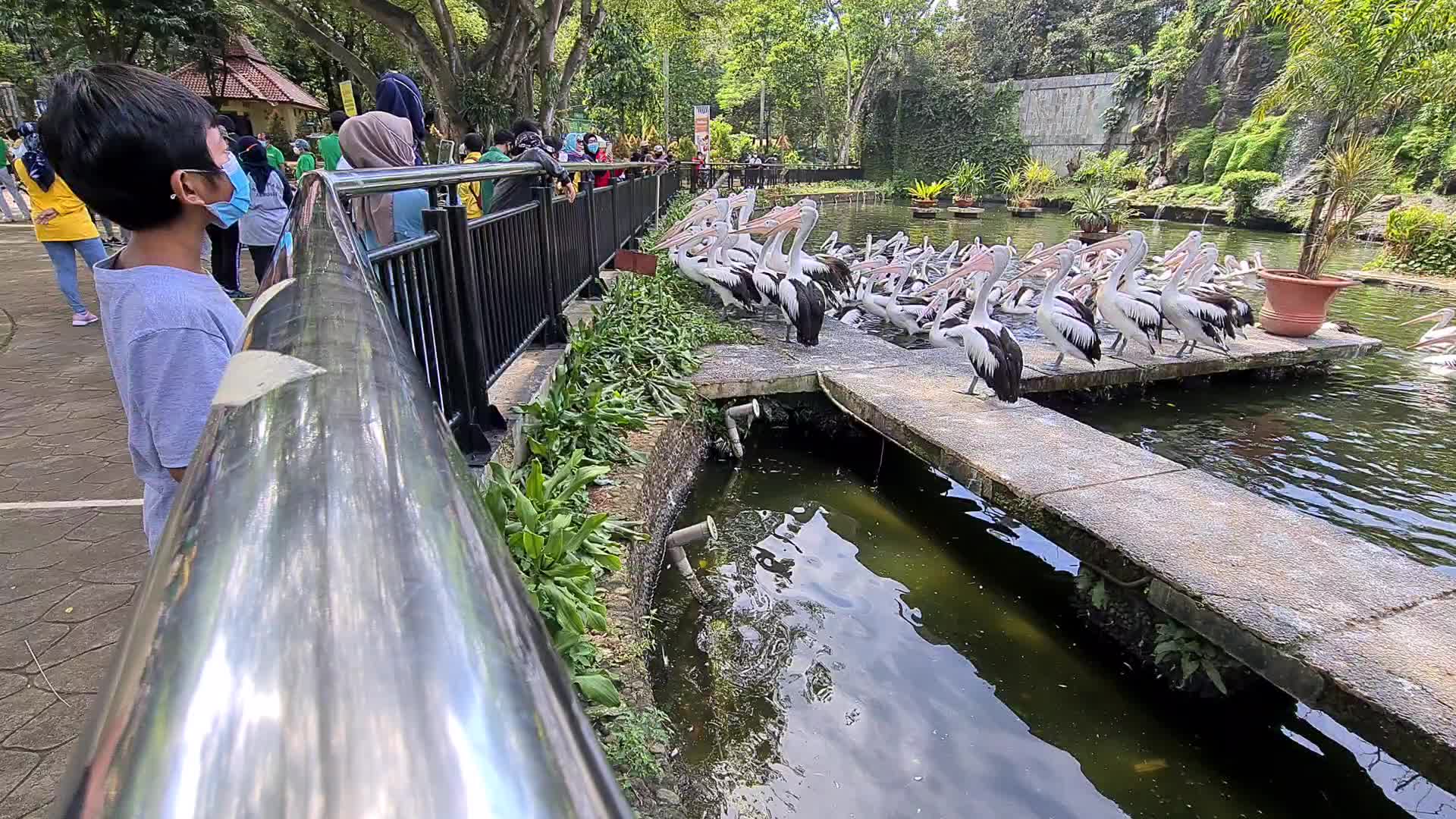 Ragunan Zoo Jakarta Reopen In Indonesia