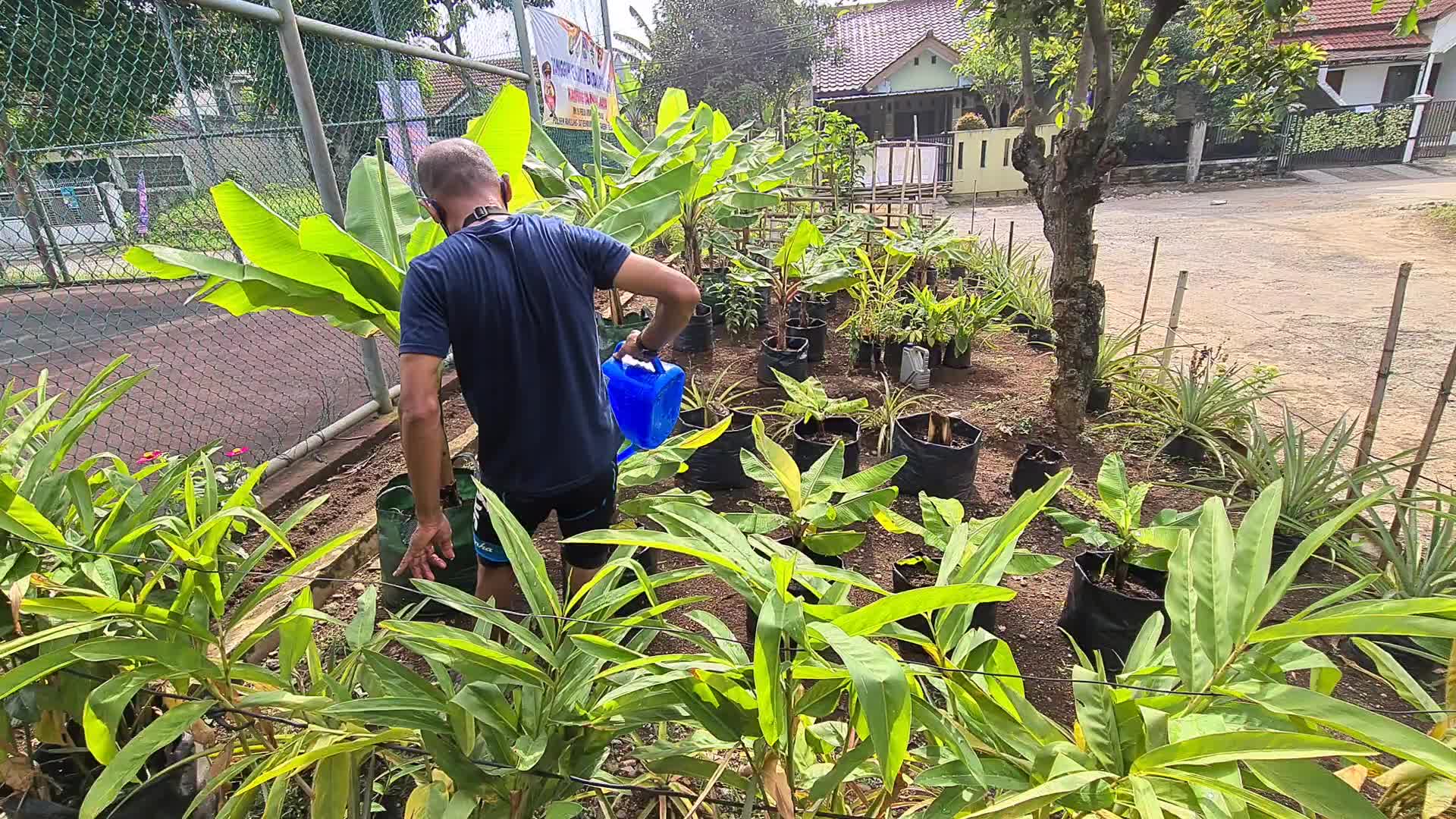 Urban Organic Farming Business In Indonesia