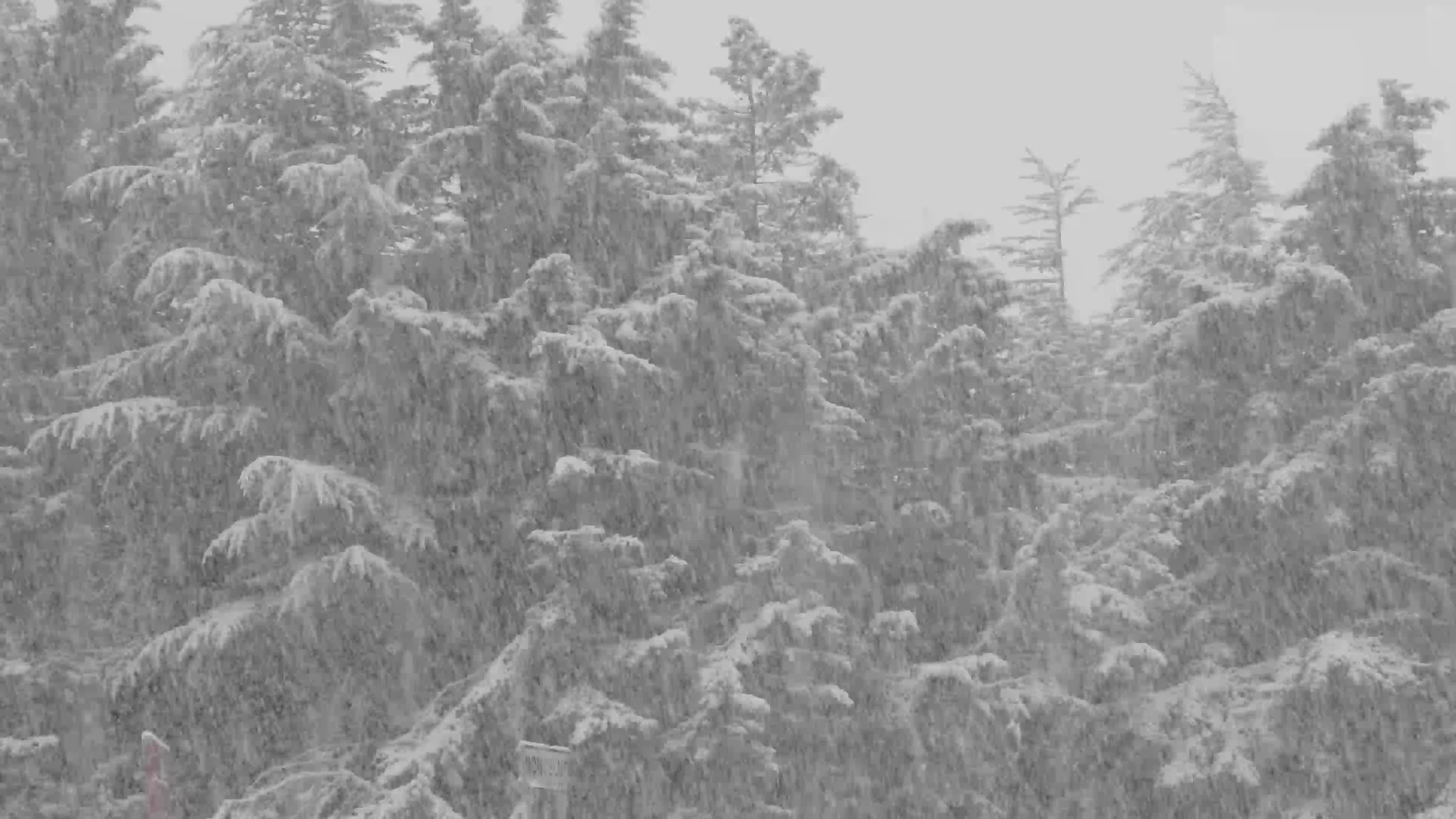 Heavy snowfall in L'Aquila caused traffic chaos