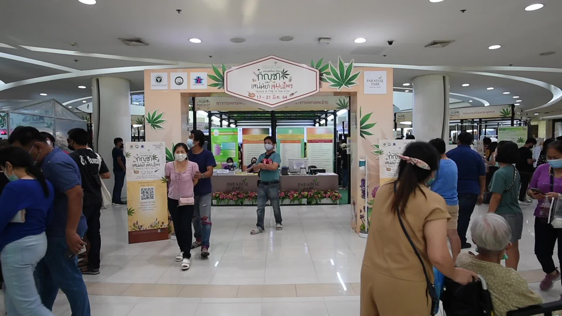 Cannabis and Thai traditional medicine fair in Bangkok
