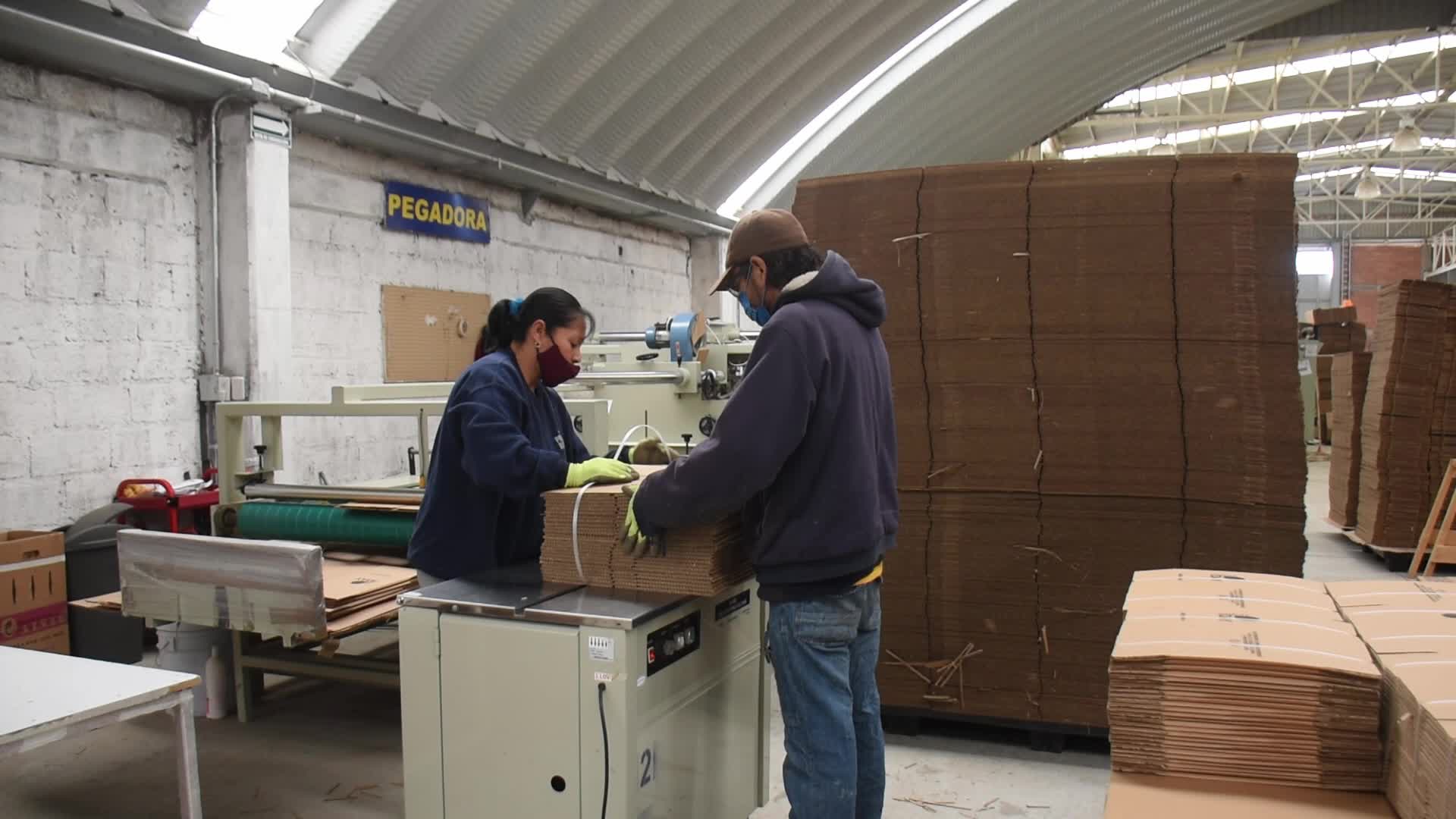 Manufacturing of cardboard casket in Mexico