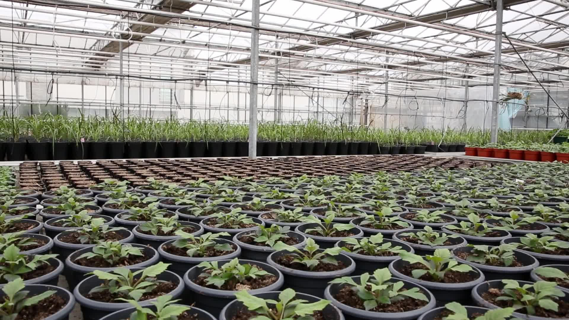 Gardens prepare for spring season in Krakow, Poland