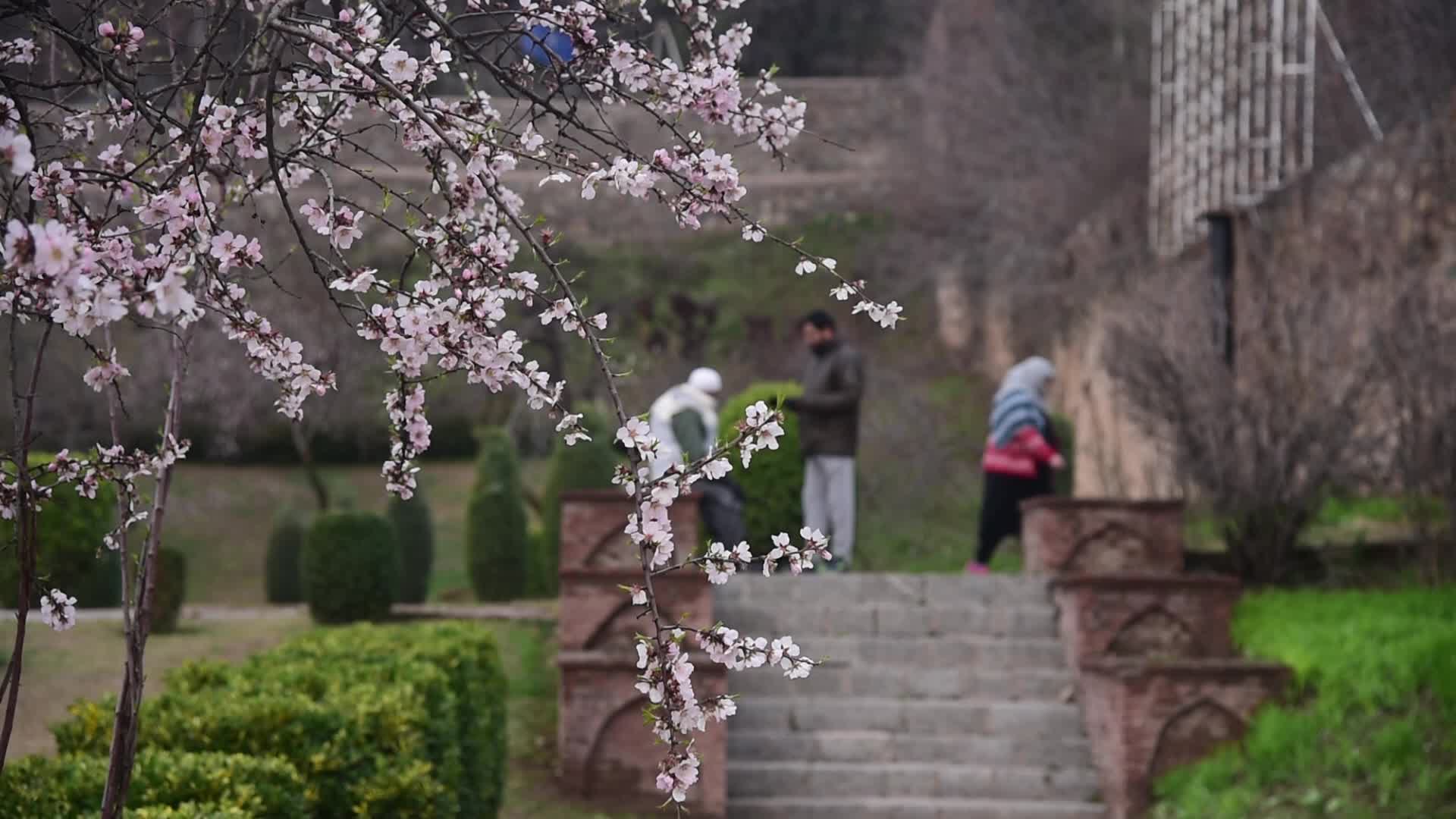 Spring in Kashmir