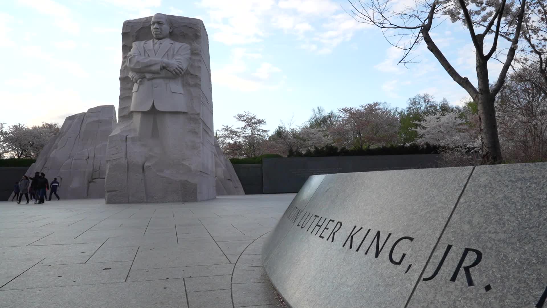 Martin Luther King, Jr. Memorial surrounded by blooming Japanese cherry blossom trees