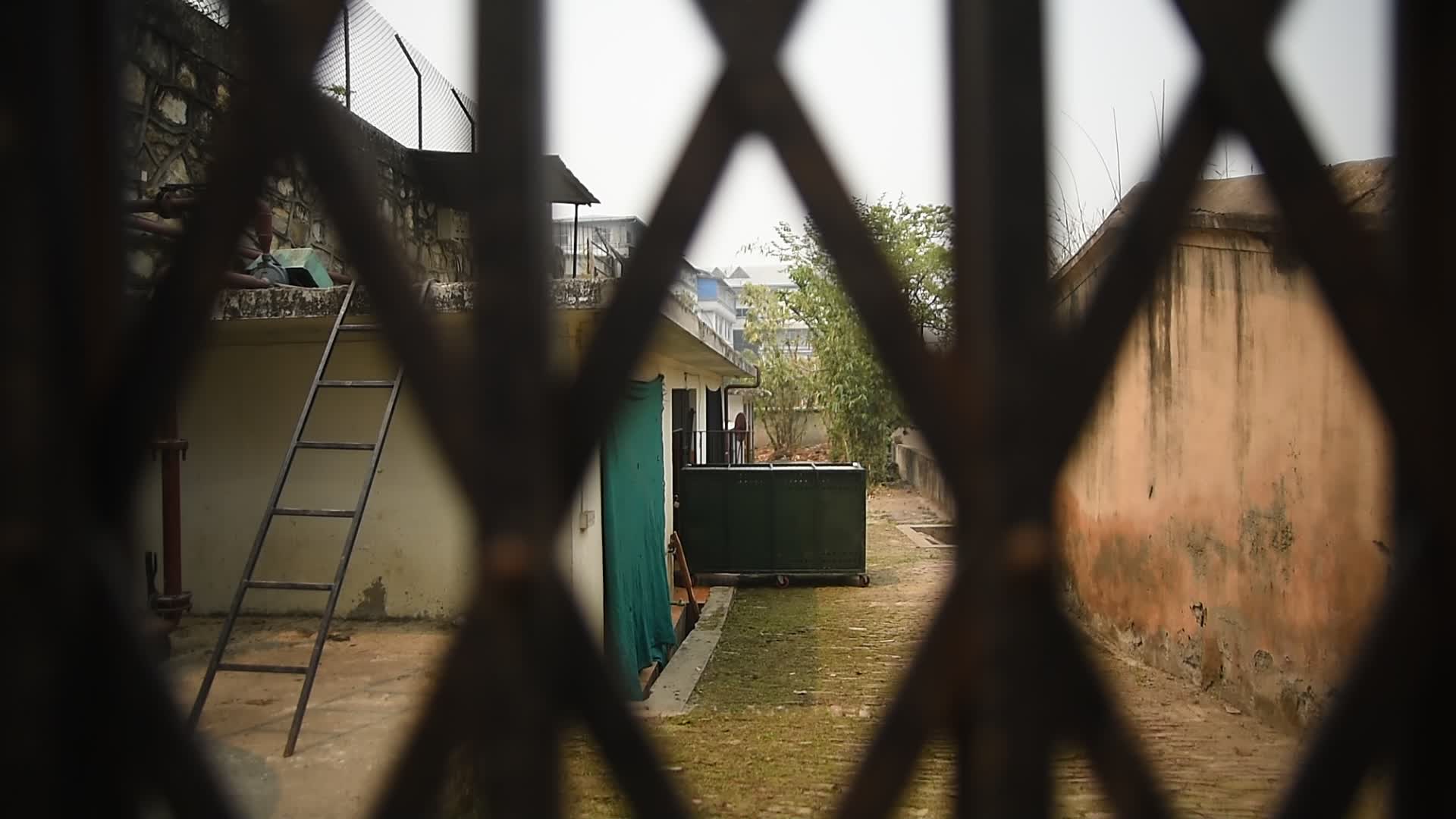 Royal Bengal tiger shifted to the Central Zoo from Bardiya National Park