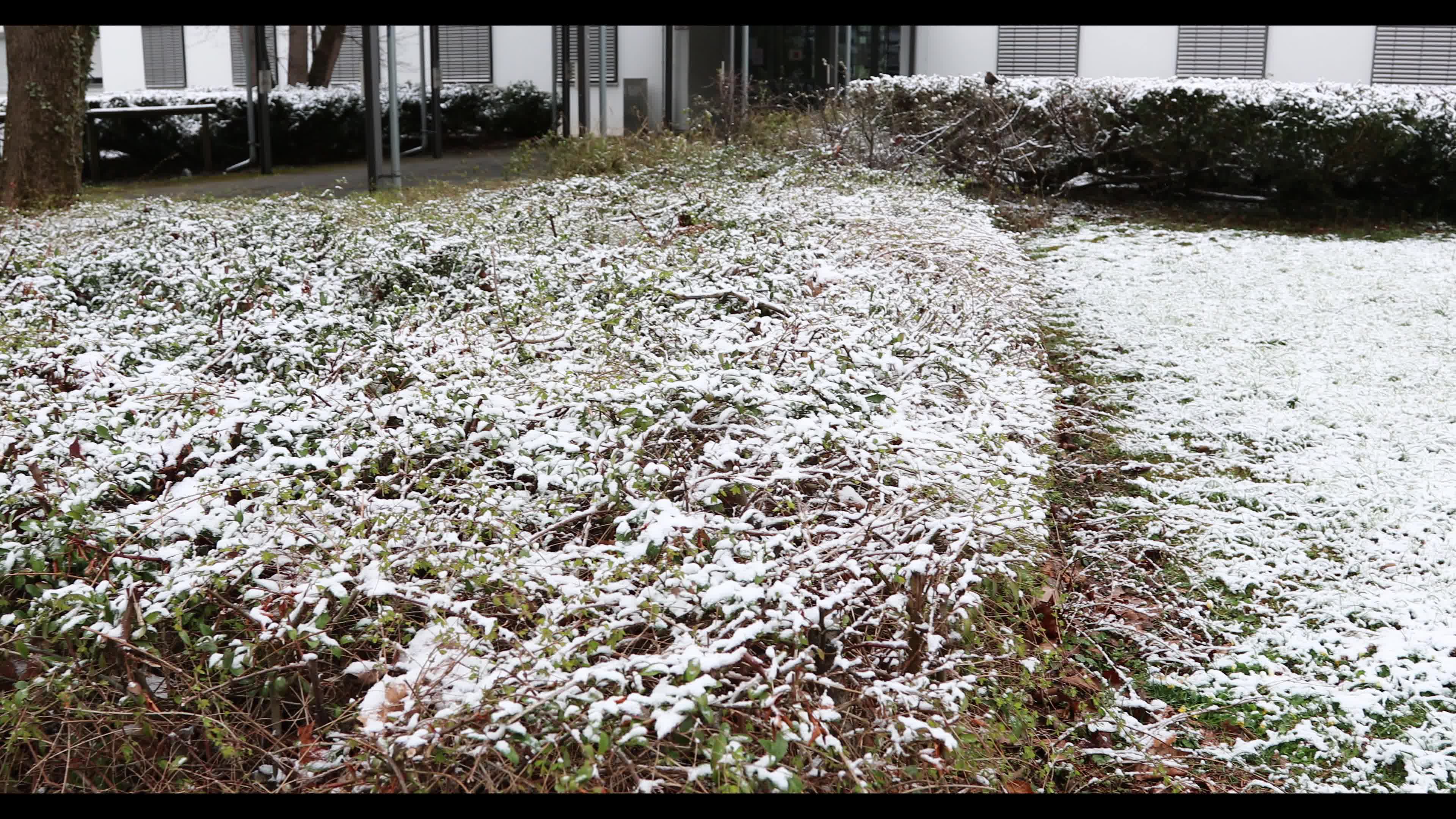 Snow in Munich amid the Covid-19 pandemic