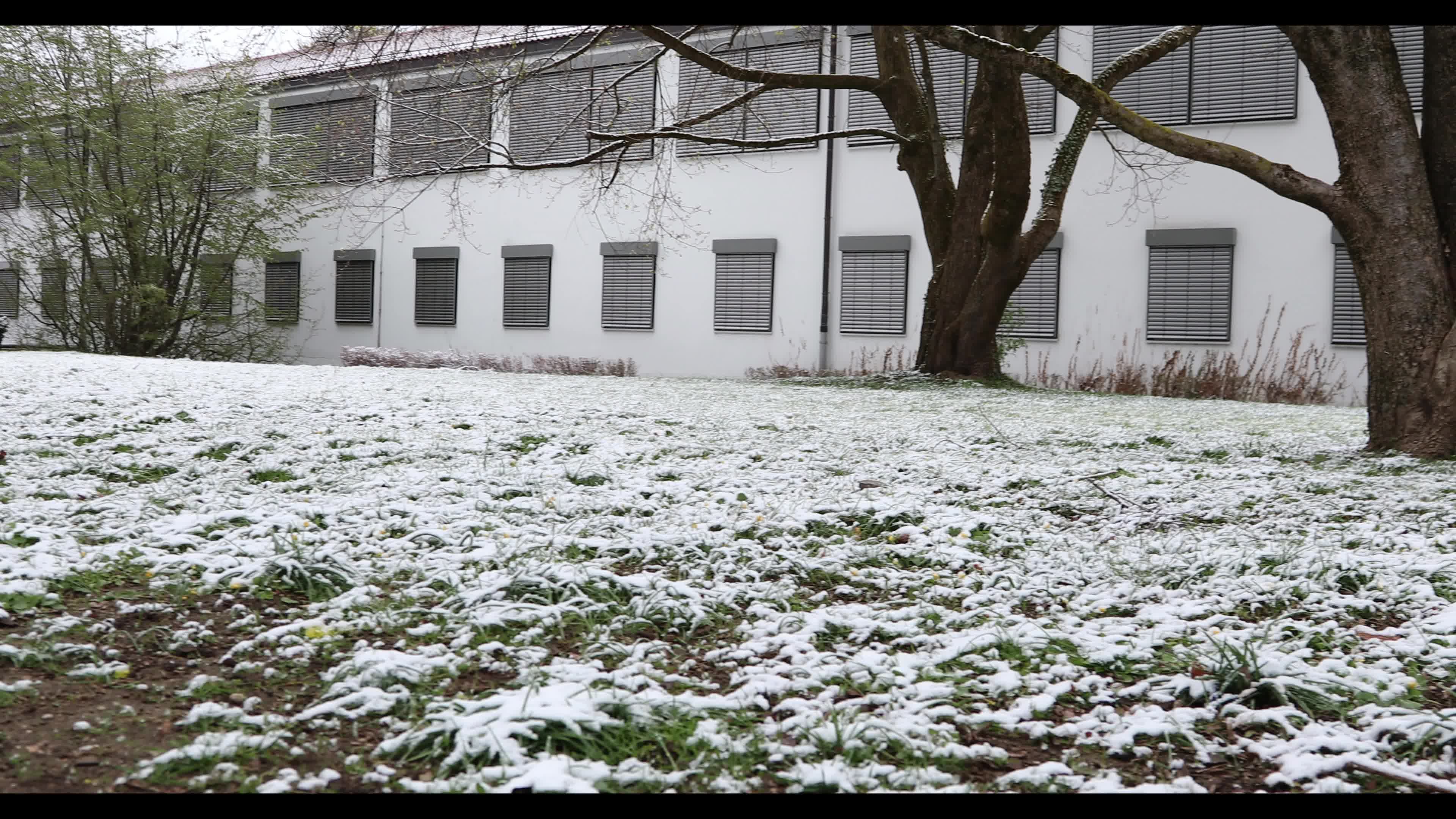 Snow in Munich amid the Covid-19 pandemic