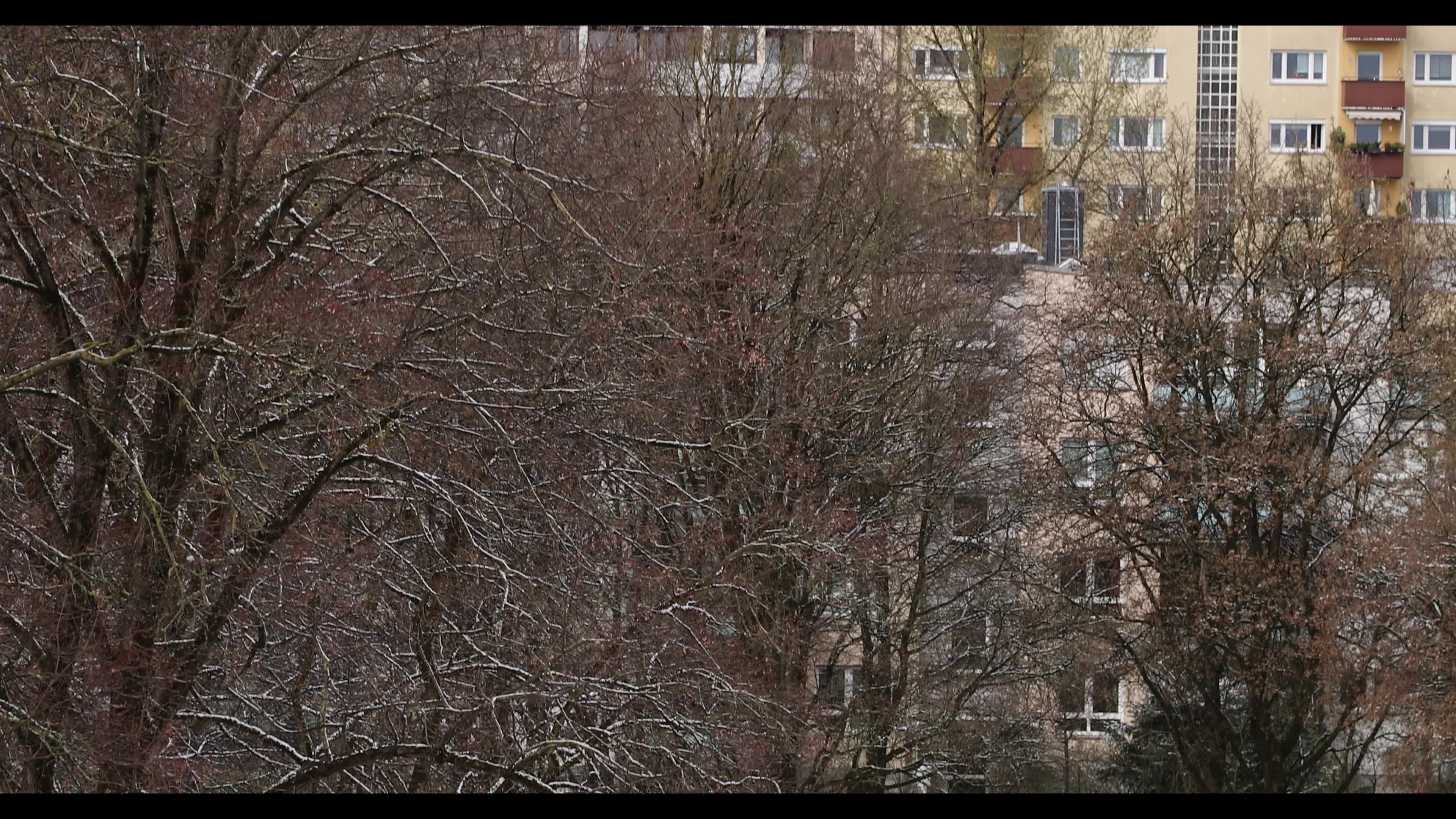 Snow in Munich amid the Covid-19 pandemic