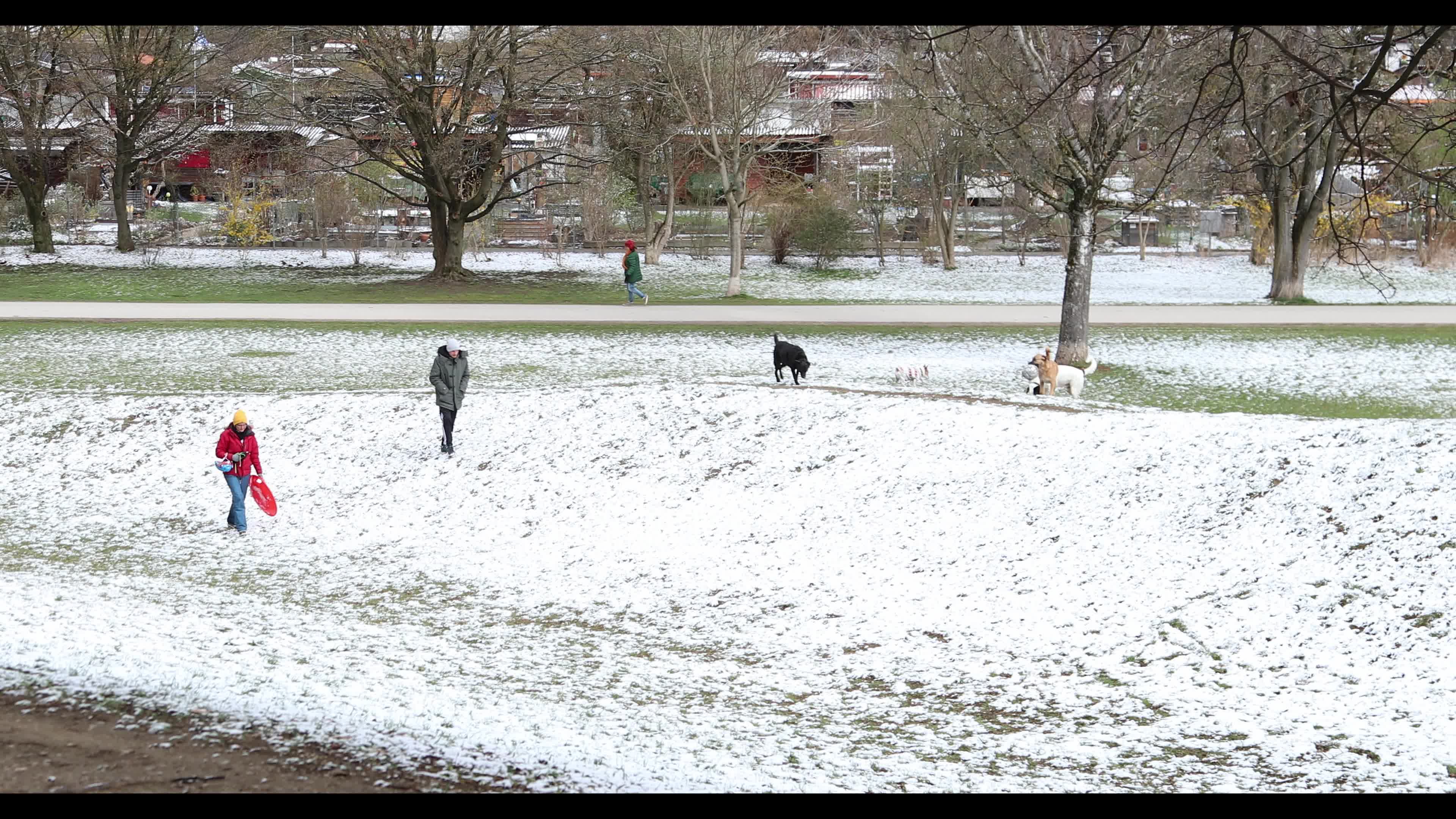 Snow in Munich amid the Covid-19 pandemic