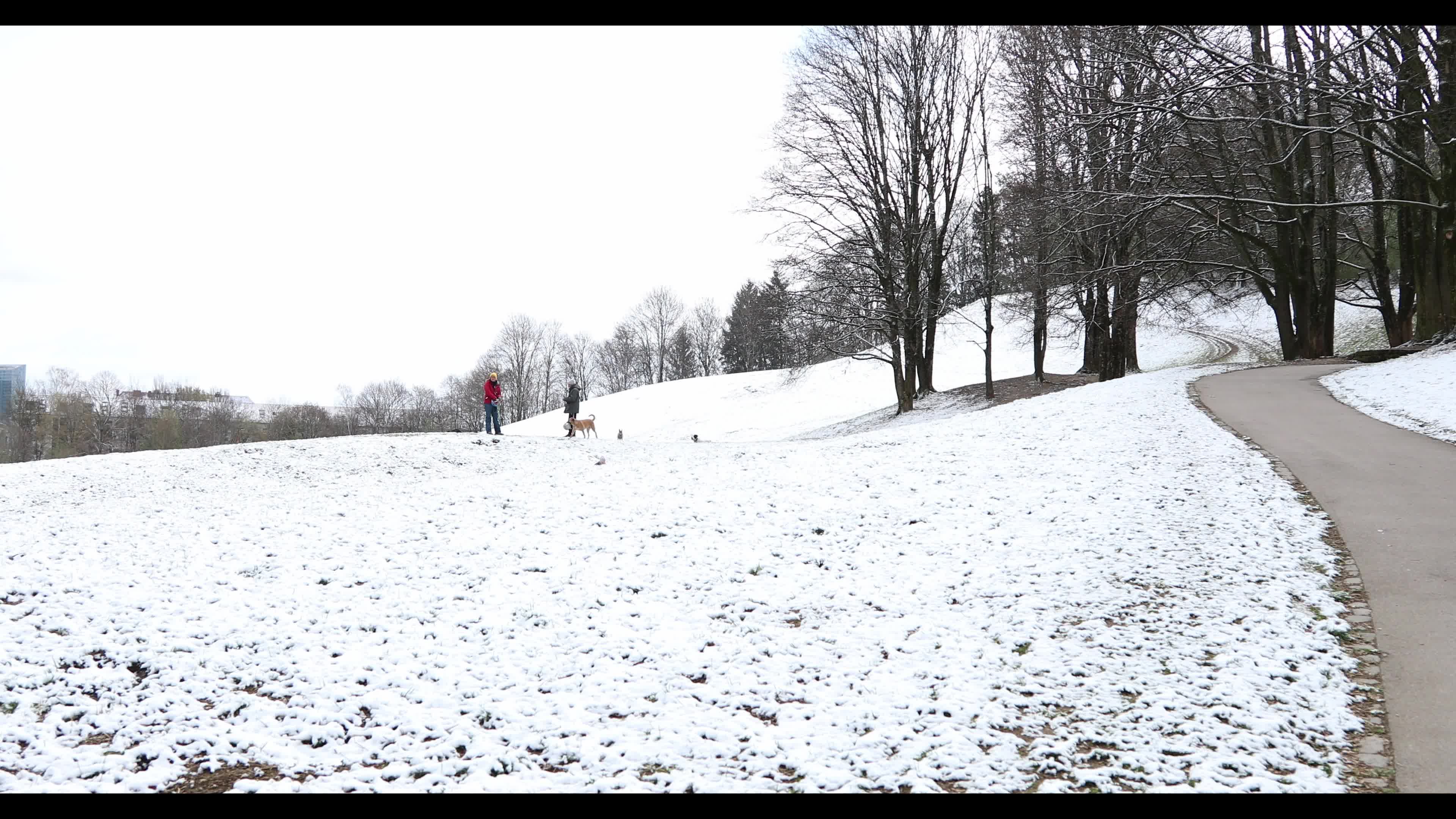 Snow in Munich amid the Covid-19 pandemic