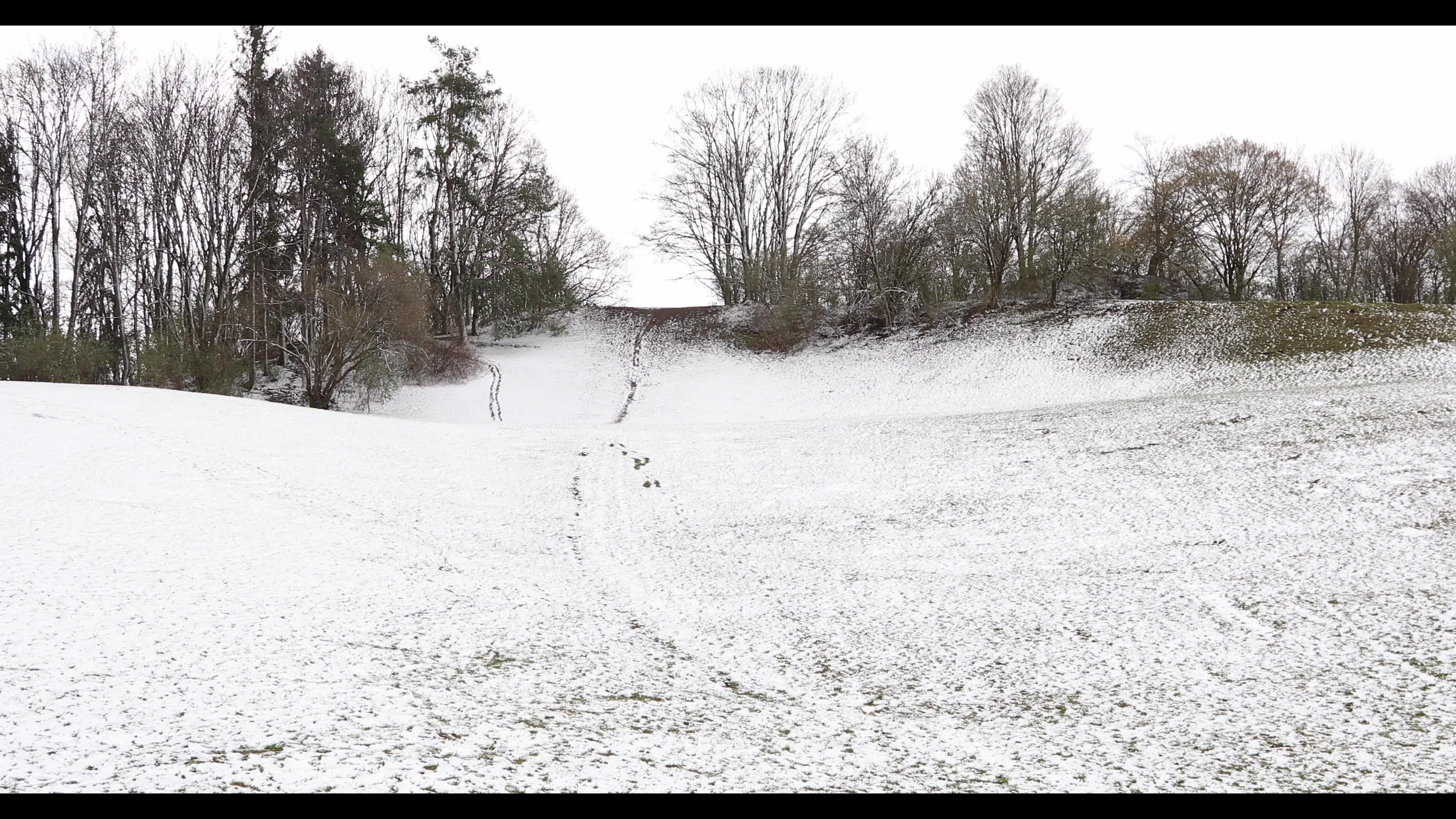 Snow in Munich amid the Covid-19 pandemic