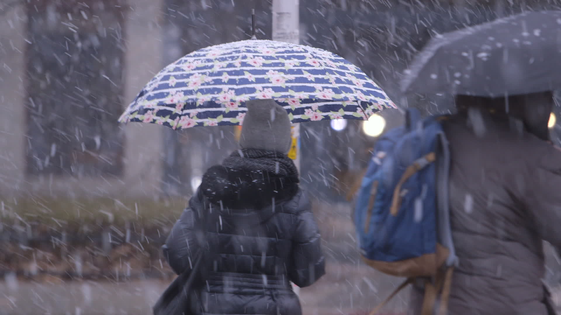 Spring Snowstorm in Warsaw