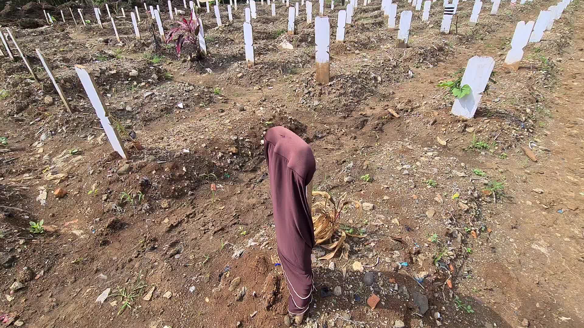 Covid-19 graveyard in Indonesia