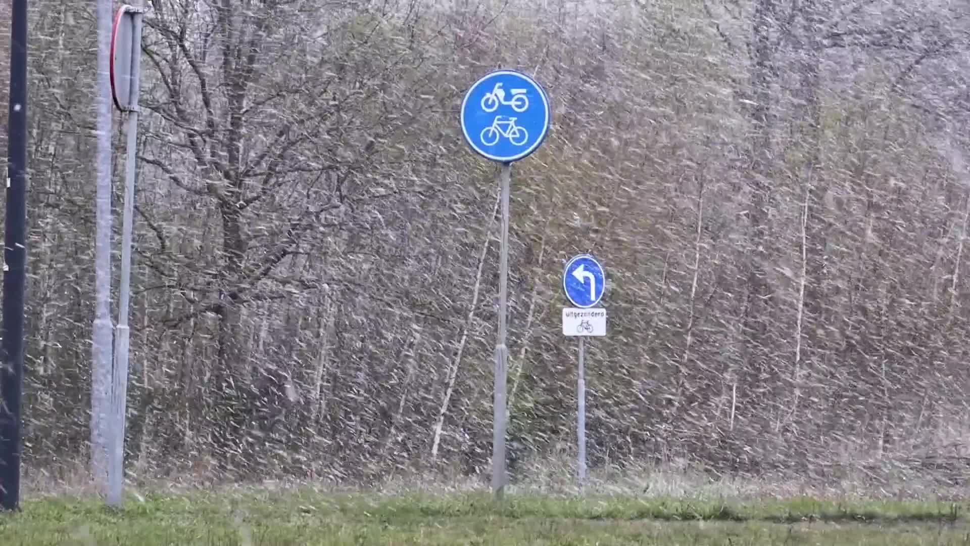 Snowfall in Netherlands during the Easter Monday