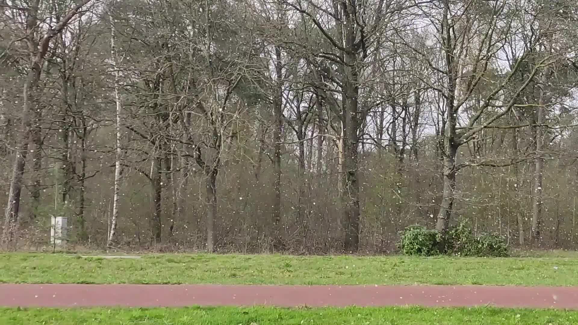 Snowfall in Netherlands during the Easter Monday