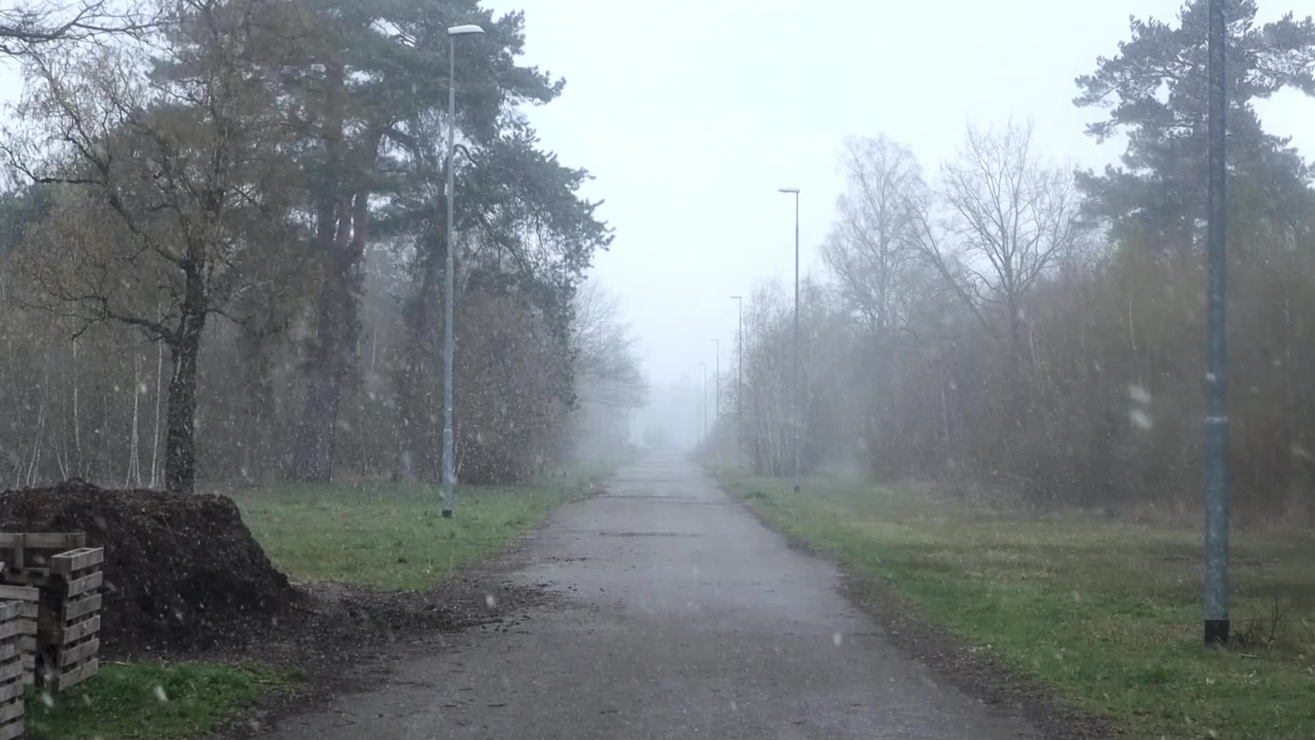 Snowfall in Netherlands during the Easter Monday