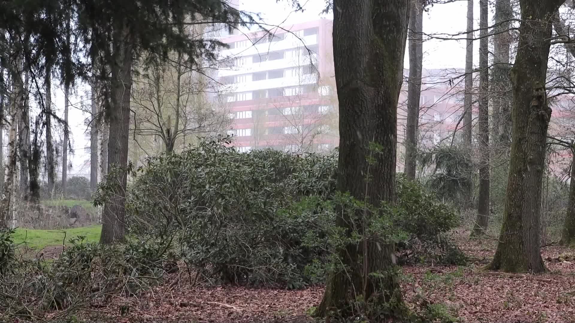 Snowfall in Netherlands during the Easter Monday
