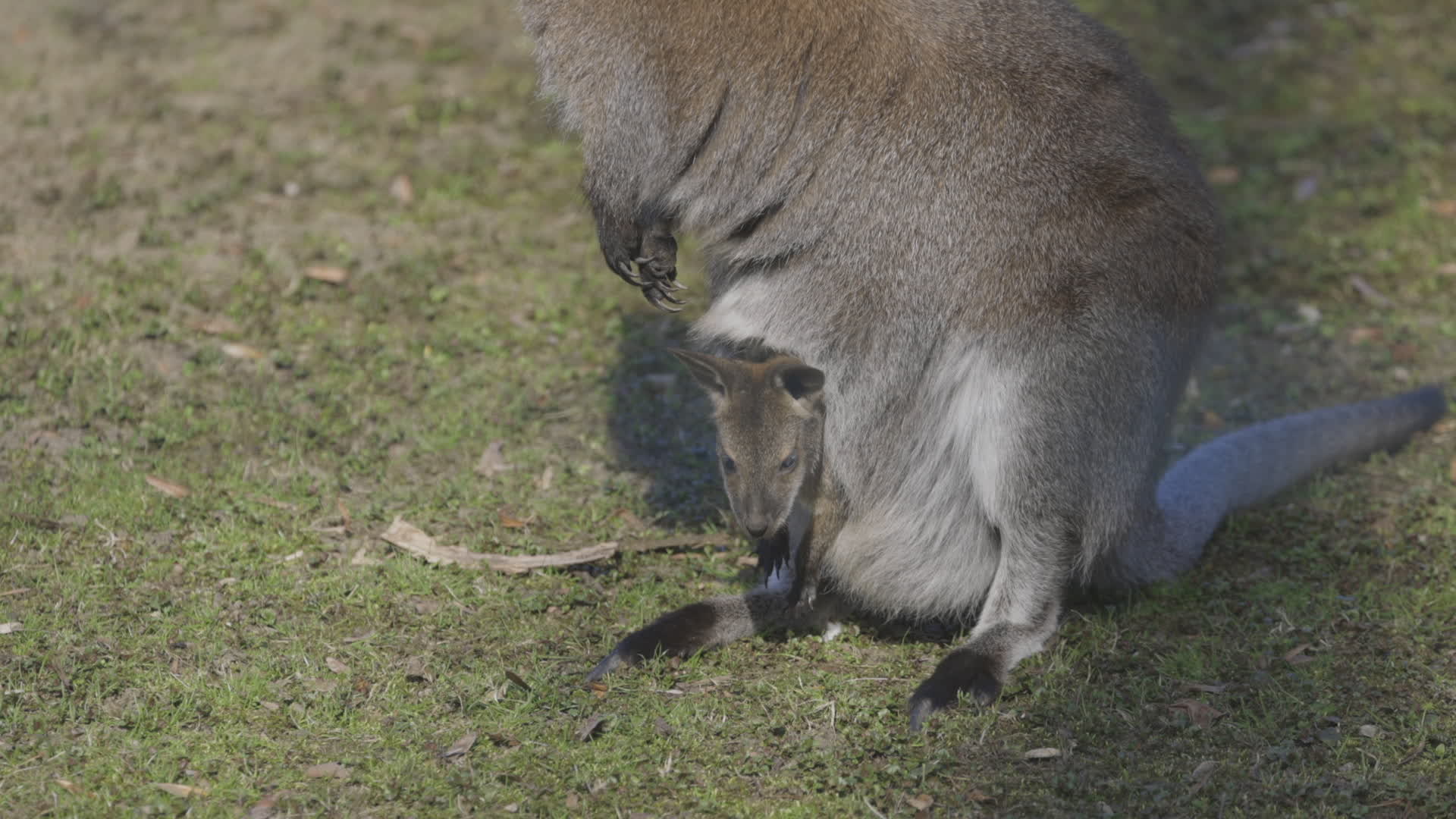 Warsaw Zoo