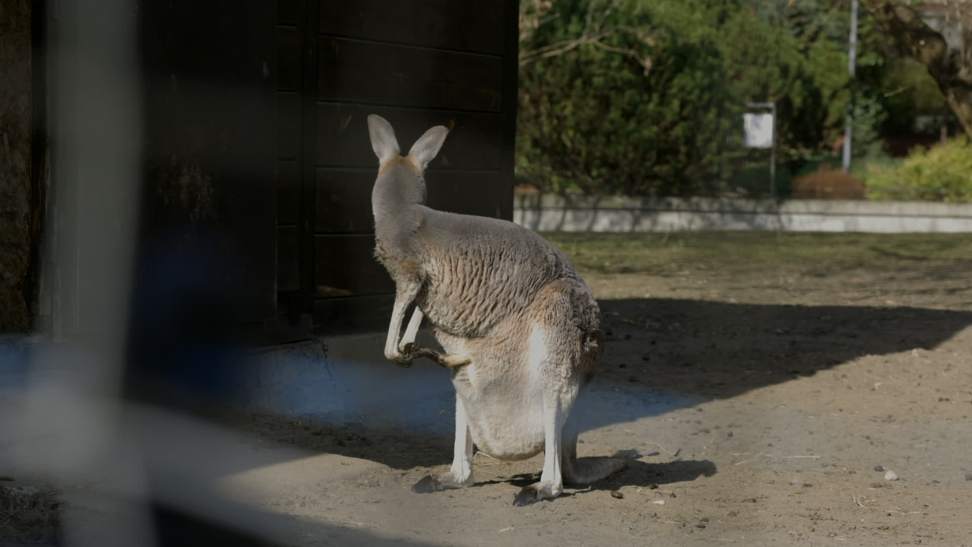 Warsaw Zoo