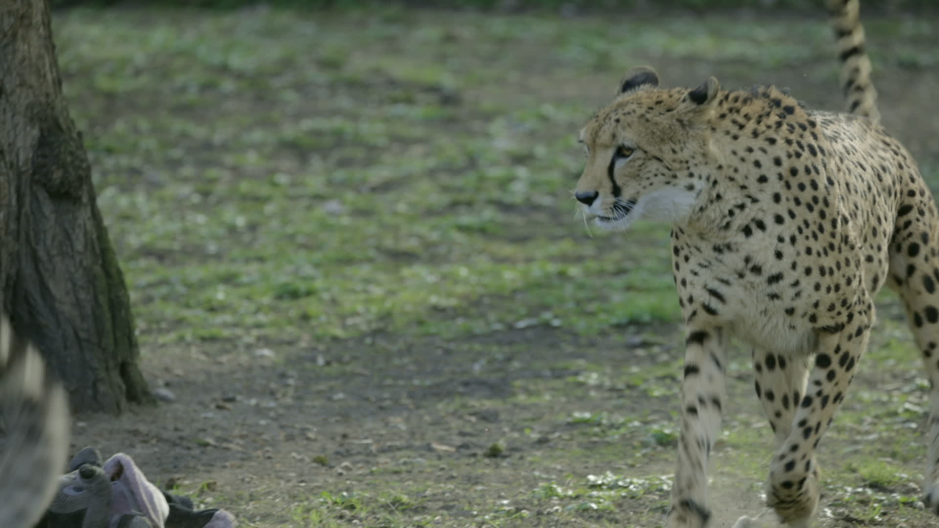 Warsaw Zoo