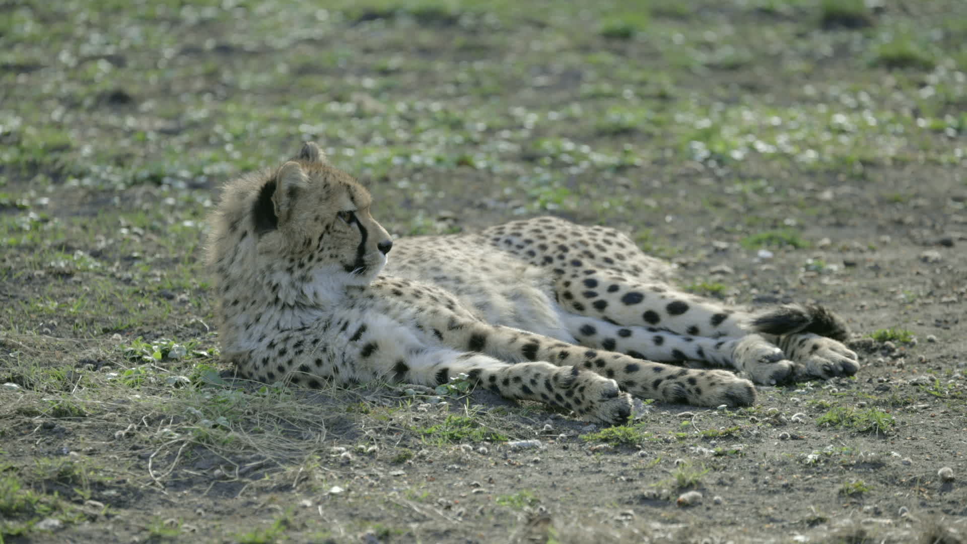 Warsaw Zoo