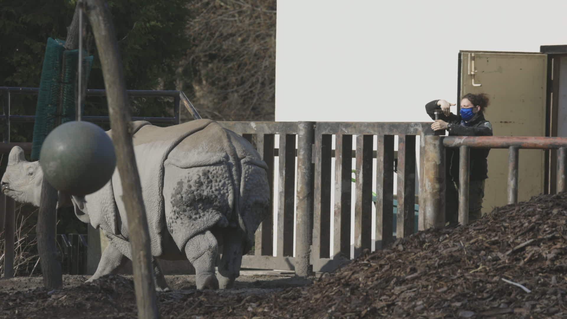 Warsaw Zoo