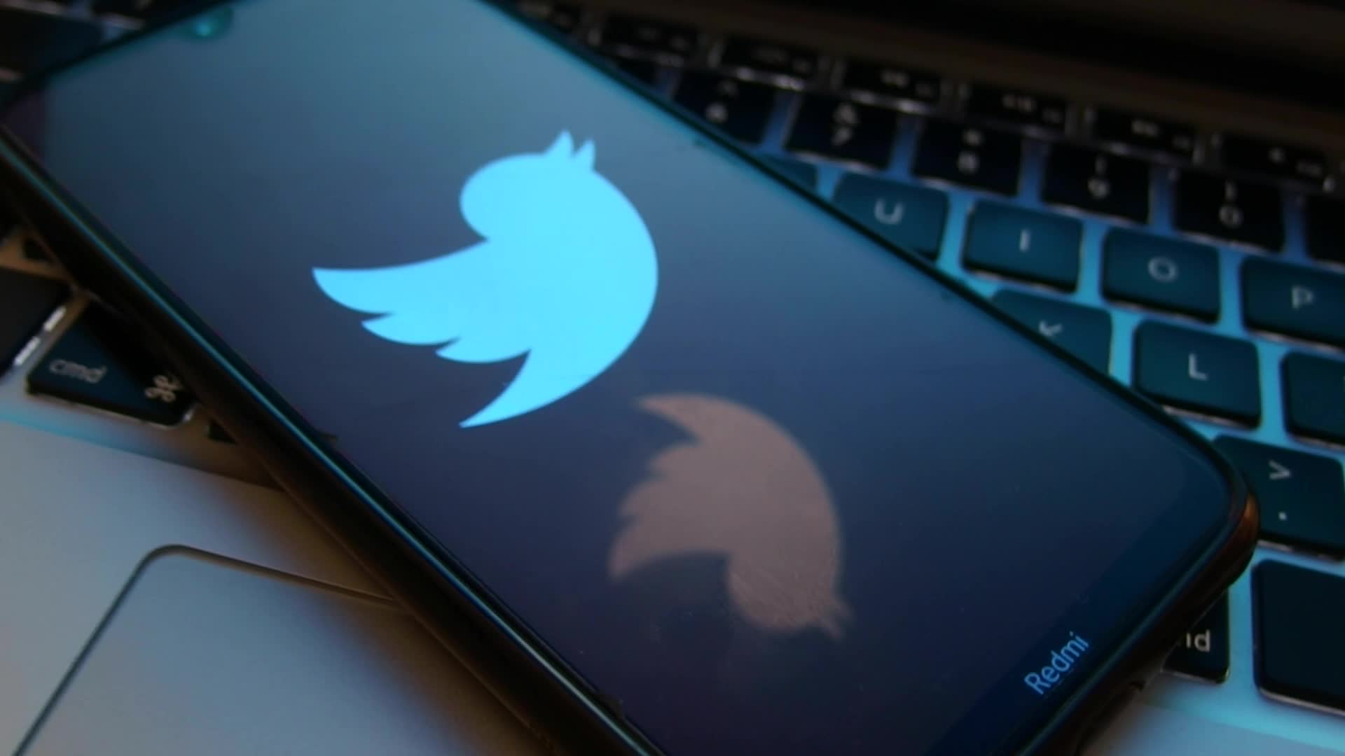 Twitter Video Illustration