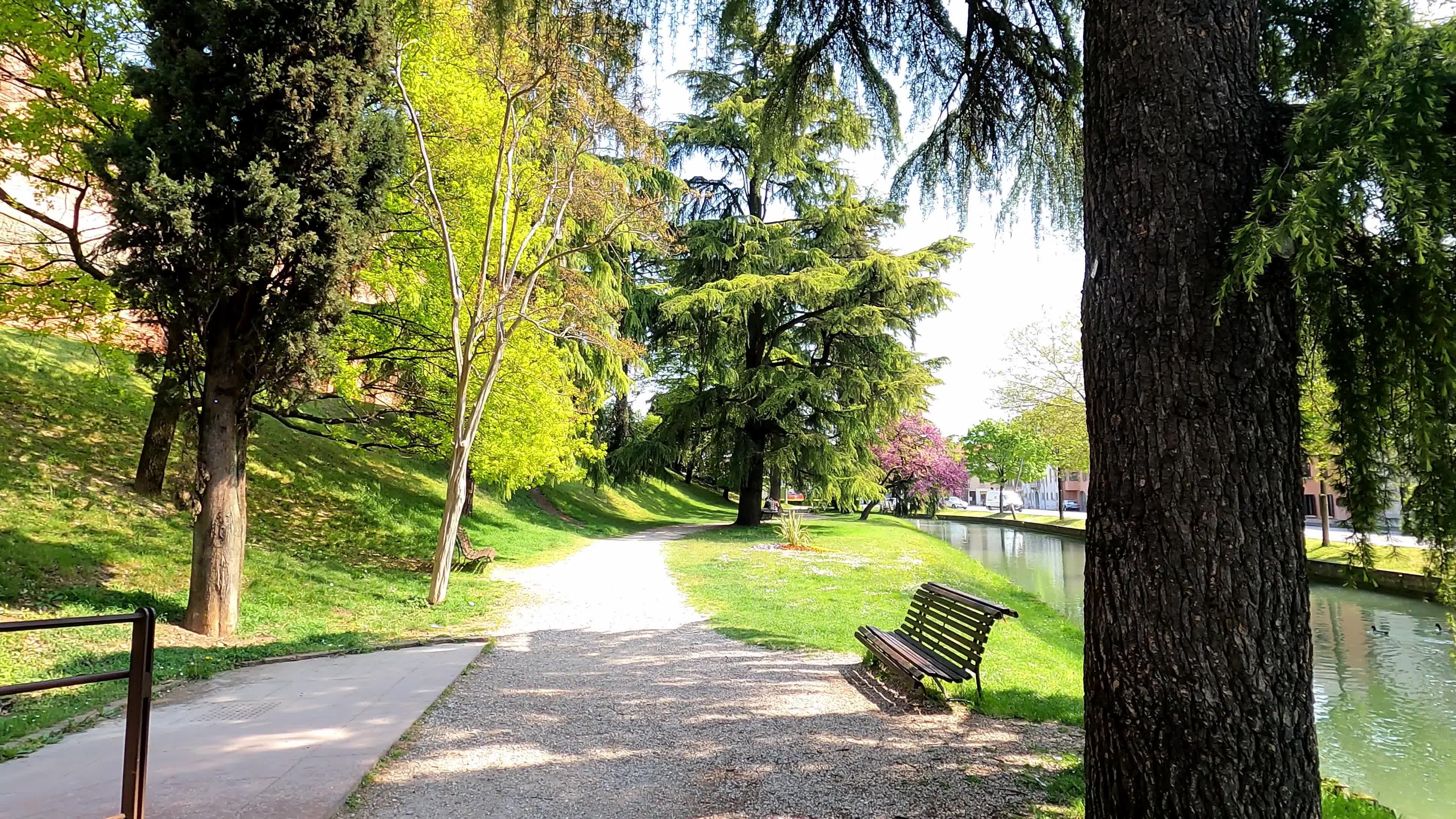 Castelfranco Veneto amid the Covid-19 pandemic