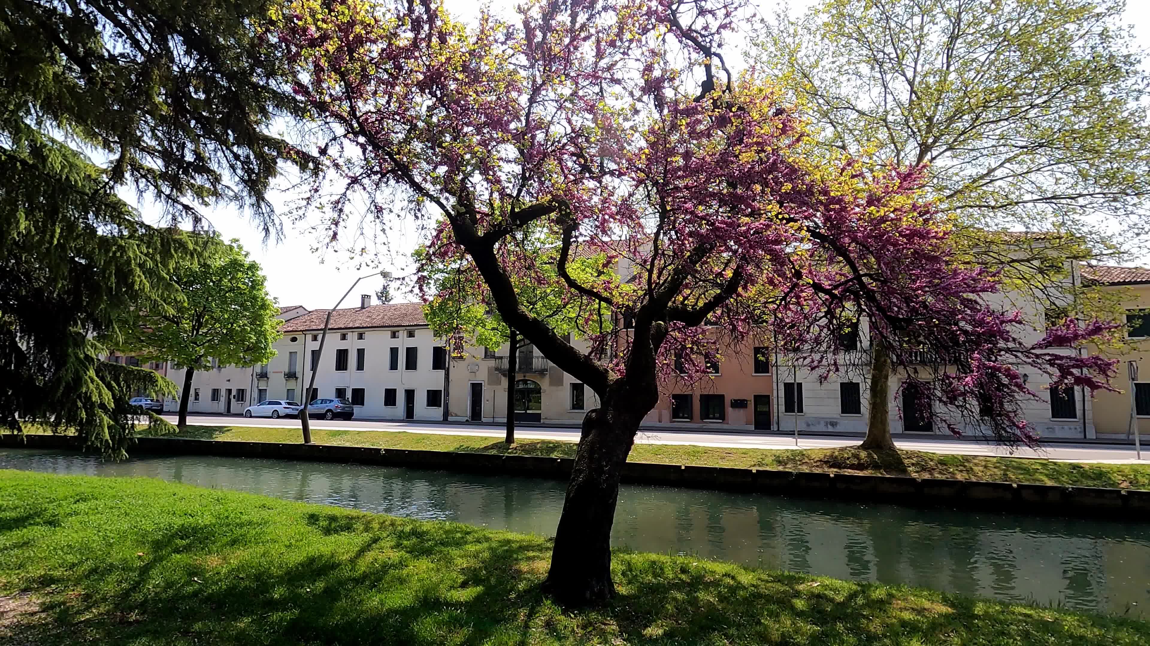 Castelfranco Veneto amid the Covid-19 pandemic