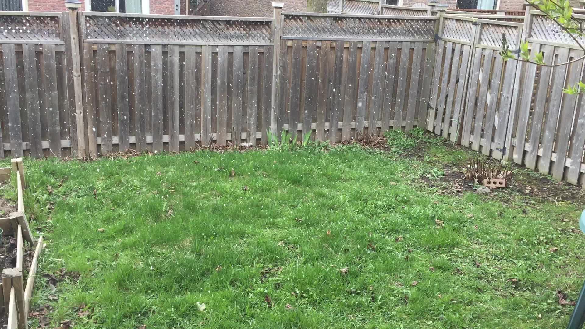 Spring season snowfall in Toronto